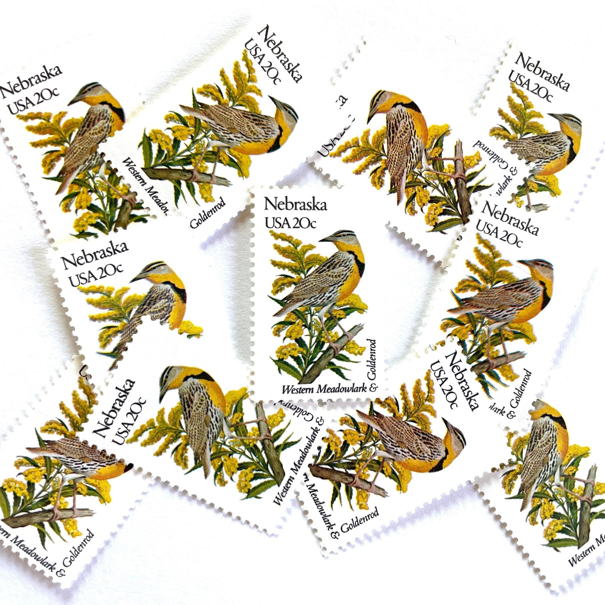 Image of Nebraska State Bird and Flower postage stamps from 1982, featuring a Western Meadowlark and Goldenrod on vintage unused 20-cent USPS postage, Scott 1979.