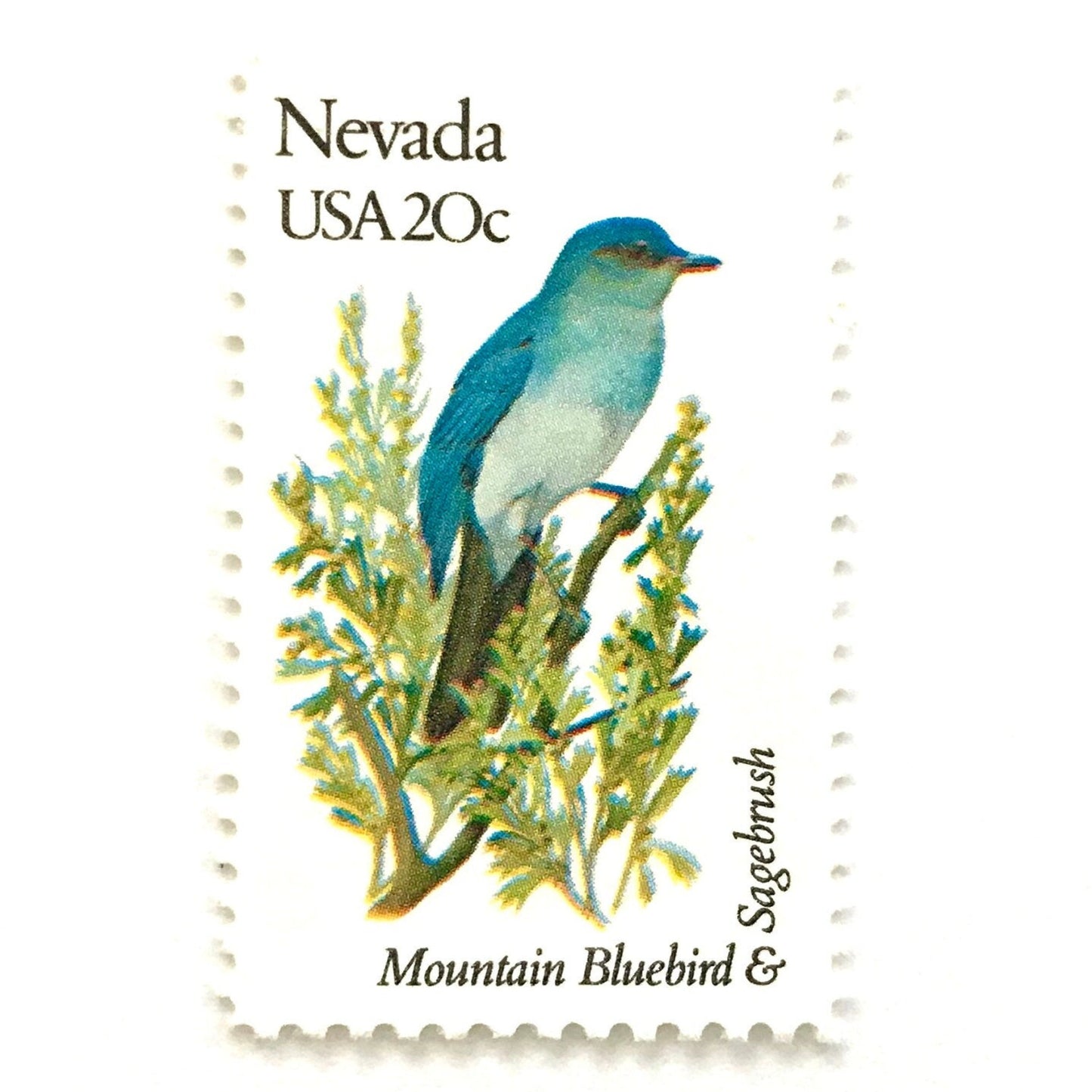Image of Nevada State Bird and Flower postage stamps from 1982, featuring a Mountain Bluebird and Sagebrush on vintage unused 20-cent USPS postage, Scott 1980.