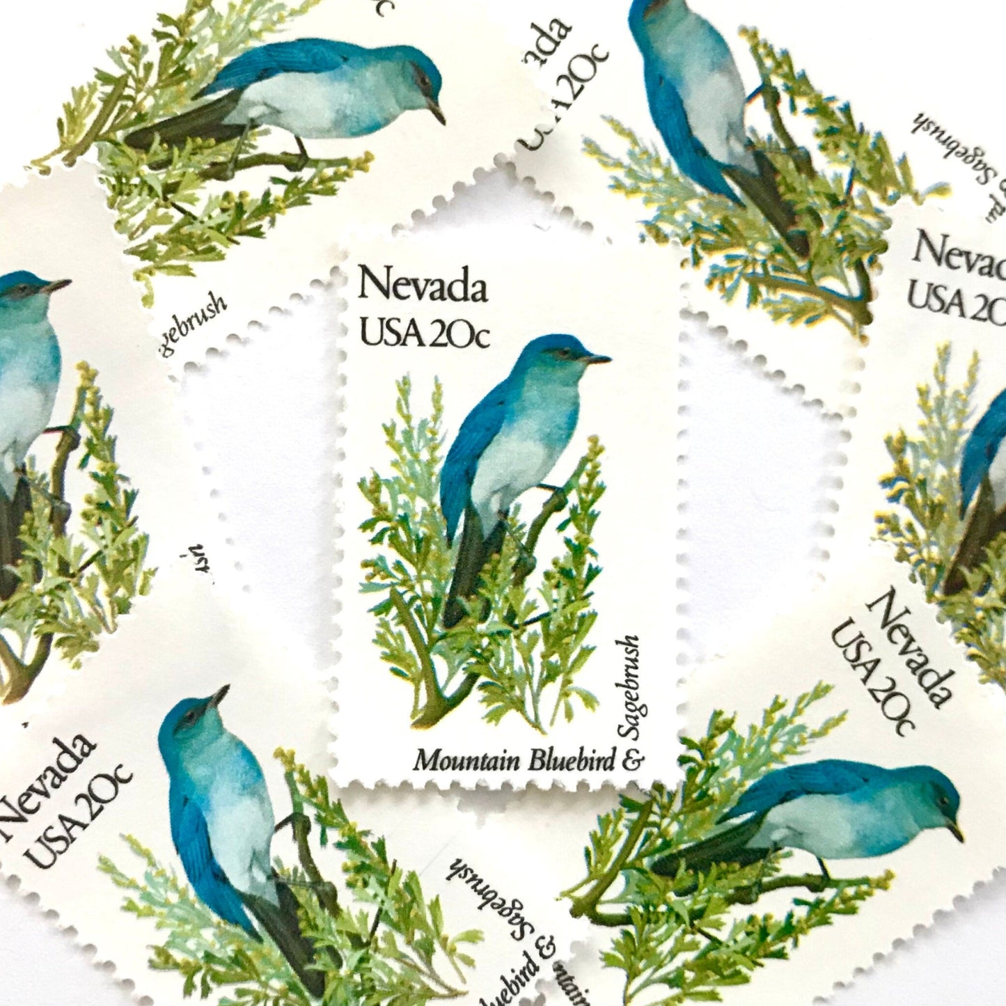 Image of Nevada State Bird and Flower postage stamps from 1982, featuring a Mountain Bluebird and Sagebrush on vintage unused 20-cent USPS postage, Scott 1980.