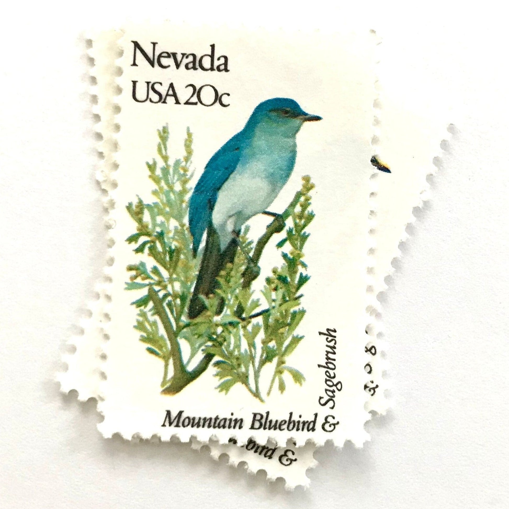 Image of Nevada State Bird and Flower postage stamps from 1982, featuring a Mountain Bluebird and Sagebrush on vintage unused 20-cent USPS postage, Scott 1980.
