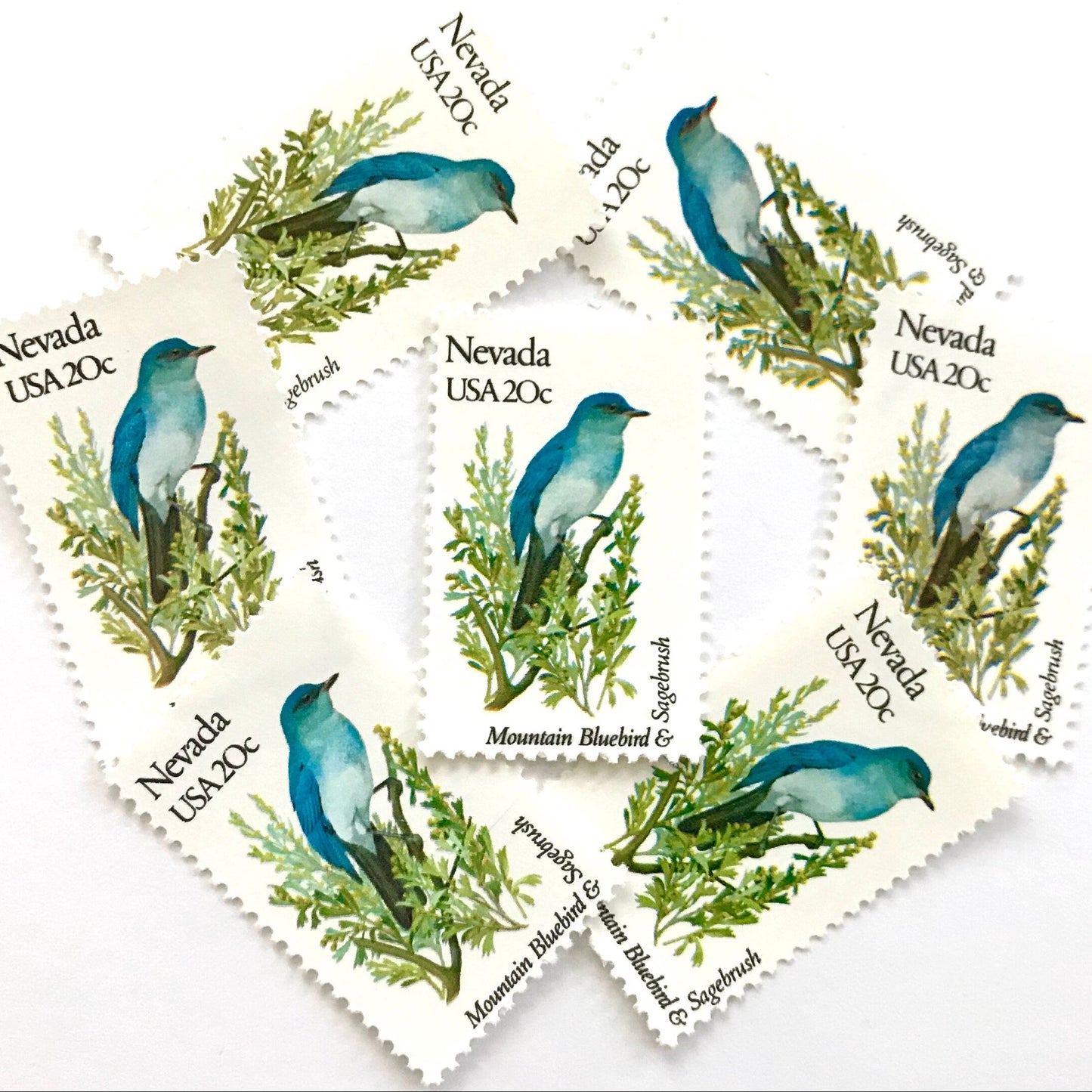 Image of Nevada State Bird and Flower postage stamps from 1982, featuring a Mountain Bluebird and Sagebrush on vintage unused 20-cent USPS postage, Scott 1980.
