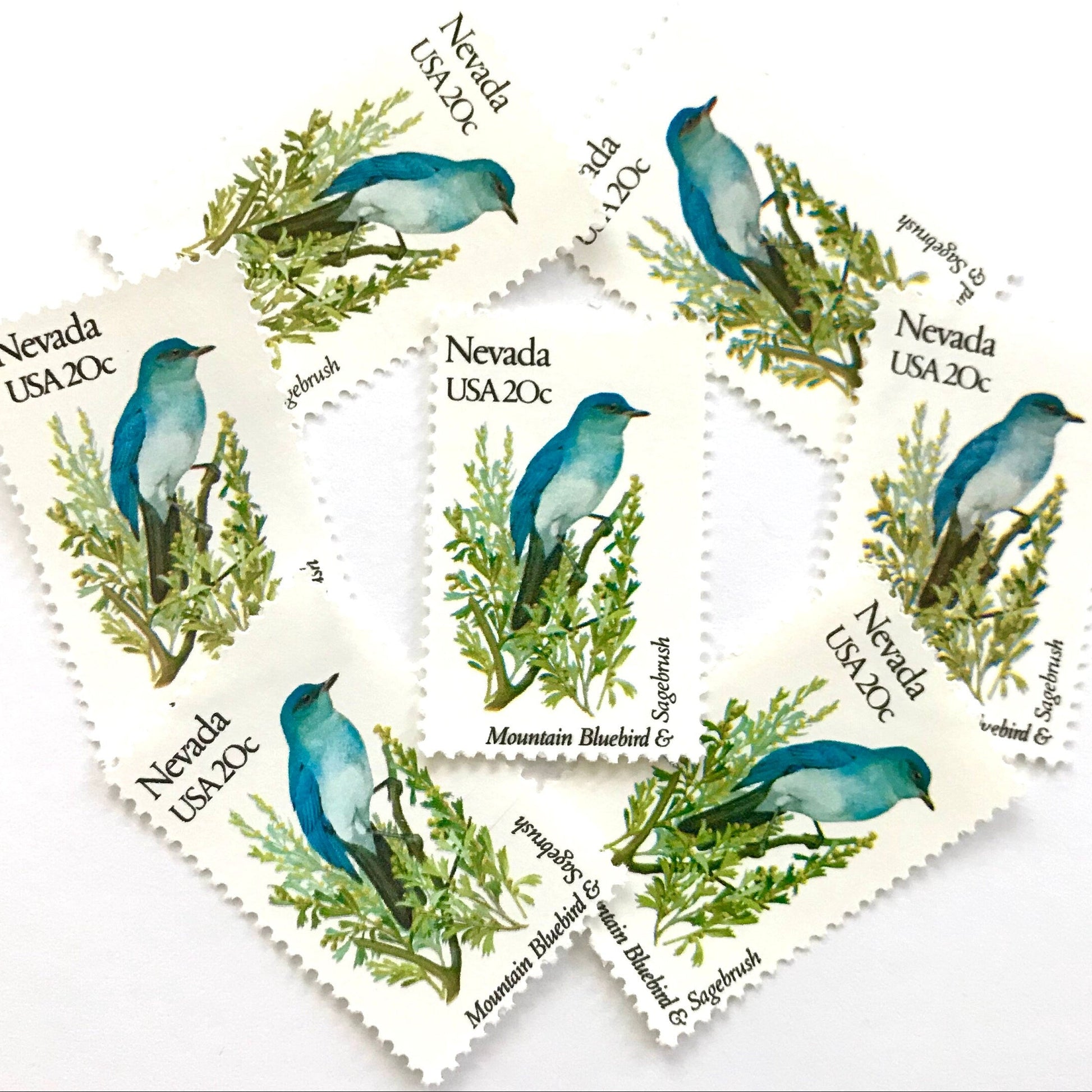 Image of Nevada State Bird and Flower postage stamps from 1982, featuring a Mountain Bluebird and Sagebrush on vintage unused 20-cent USPS postage, Scott 1980.