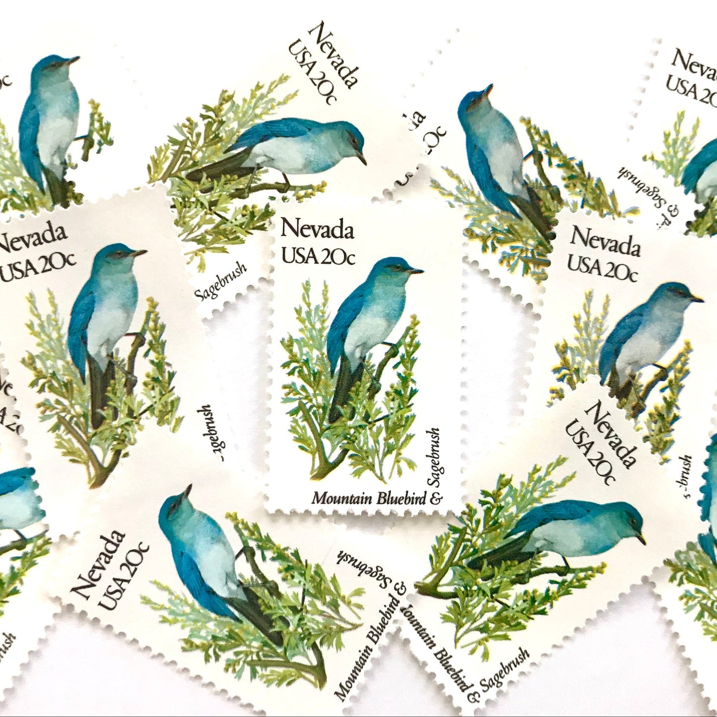 Image of Nevada State Bird and Flower postage stamps from 1982, featuring a Mountain Bluebird and Sagebrush on vintage unused 20-cent USPS postage, Scott 1980.