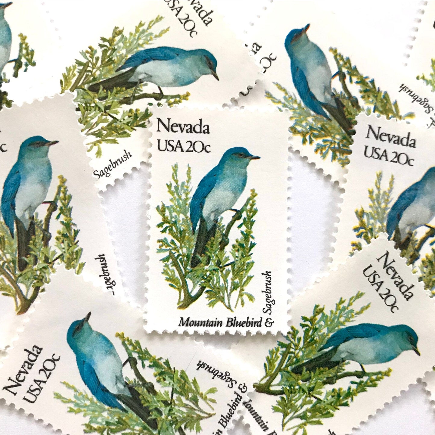 Image of Nevada State Bird and Flower postage stamps from 1982, featuring a Mountain Bluebird and Sagebrush on vintage unused 20-cent USPS postage, Scott 1980.