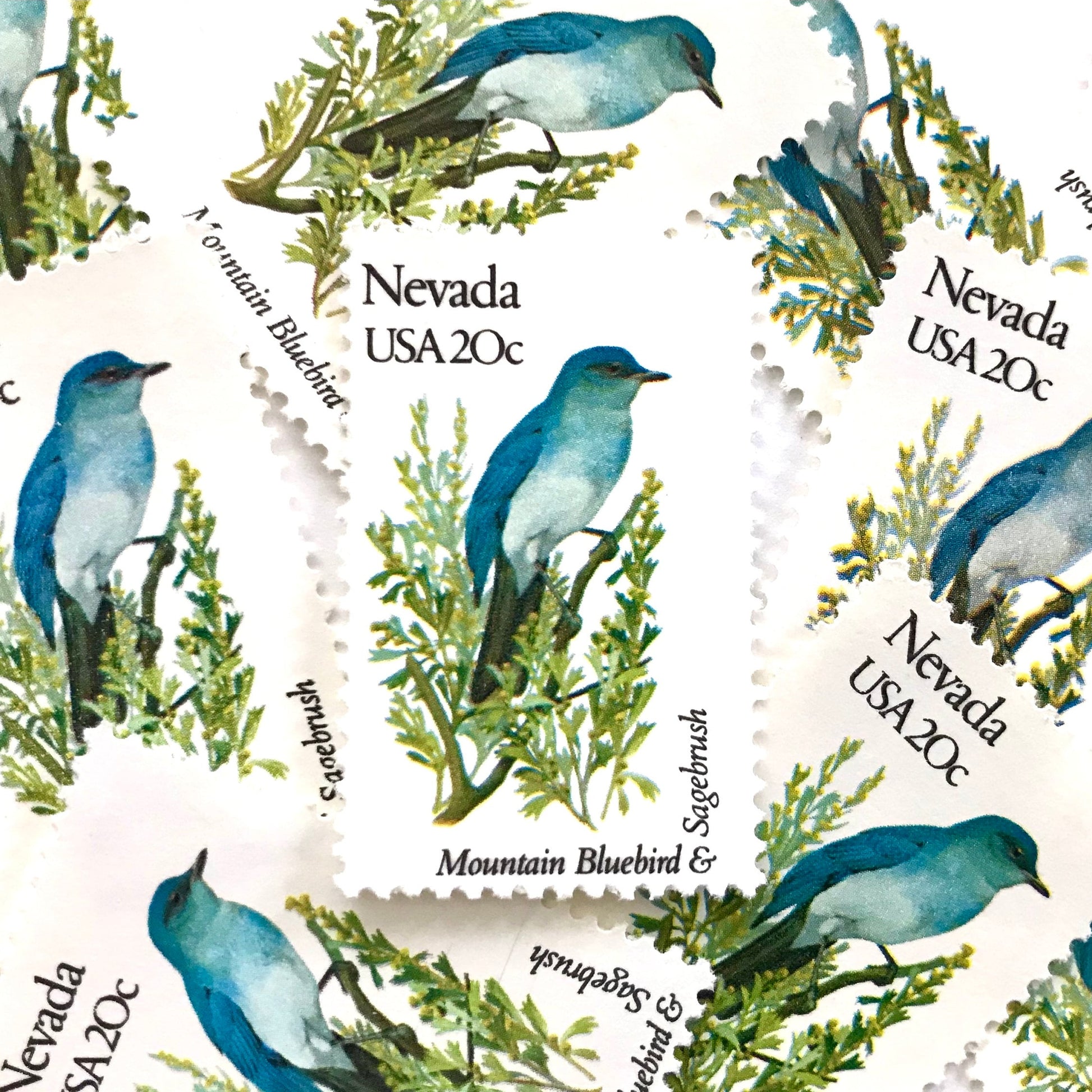 Image of Nevada State Bird and Flower postage stamps from 1982, featuring a Mountain Bluebird and Sagebrush on vintage unused 20-cent USPS postage, Scott 1980.