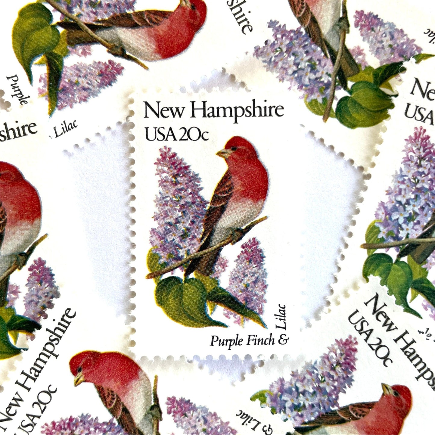 Image of New Hampshire State Bird and Flower postage stamps from 1982, featuring a Purple Finch and Lilac on vintage unused 20-cent USPS postage, Scott 1981.