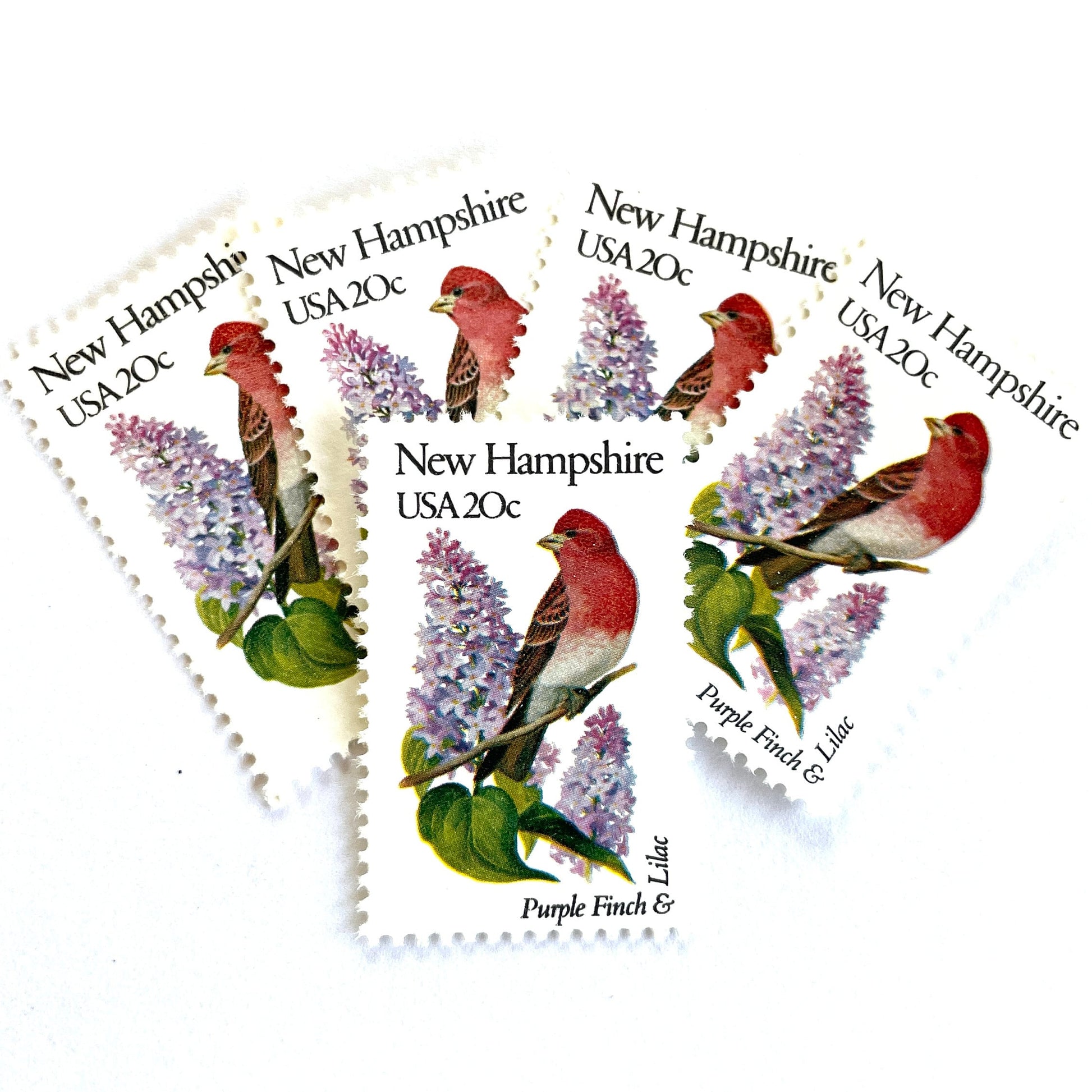 Image of New Hampshire State Bird and Flower postage stamps from 1982, featuring a Purple Finch and Lilac on vintage unused 20-cent USPS postage, Scott 1981.