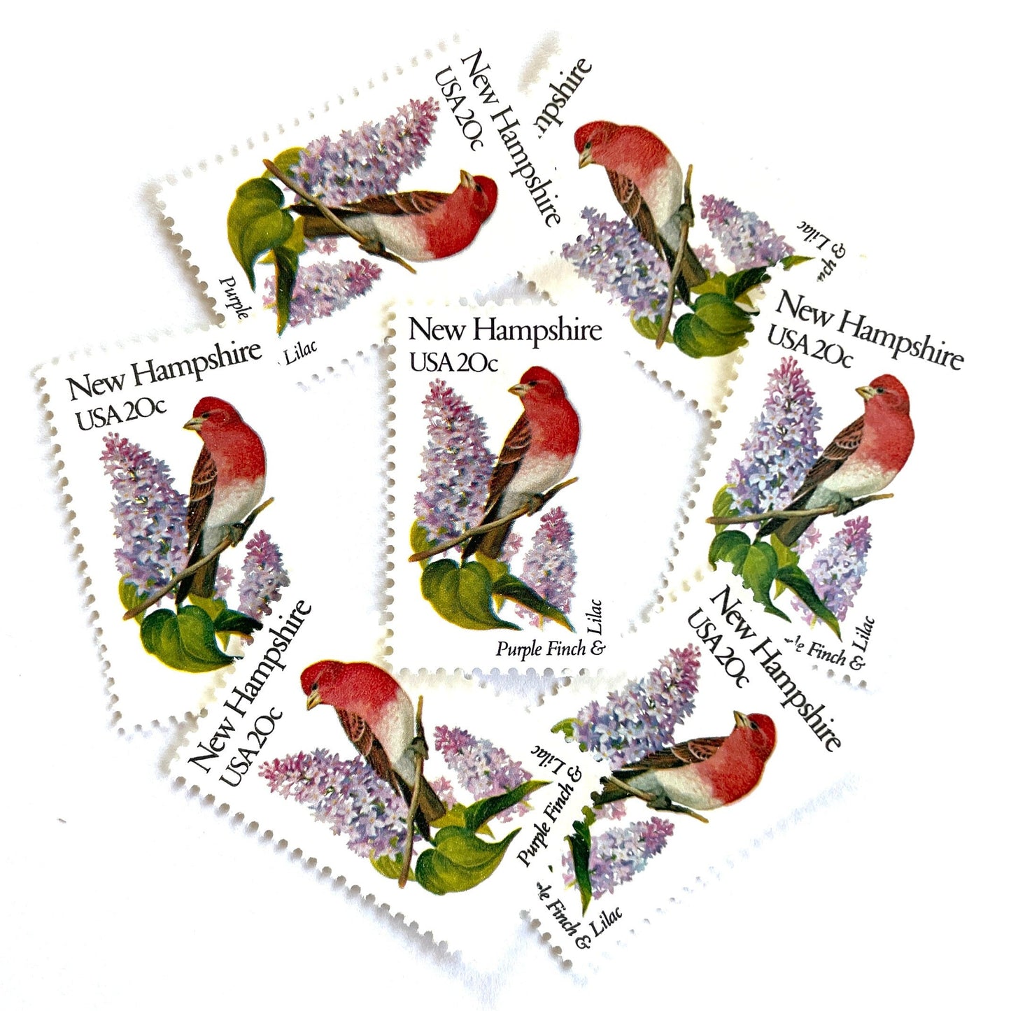 Image of New Hampshire State Bird and Flower postage stamps from 1982, featuring a Purple Finch and Lilac on vintage unused 20-cent USPS postage, Scott 1981.