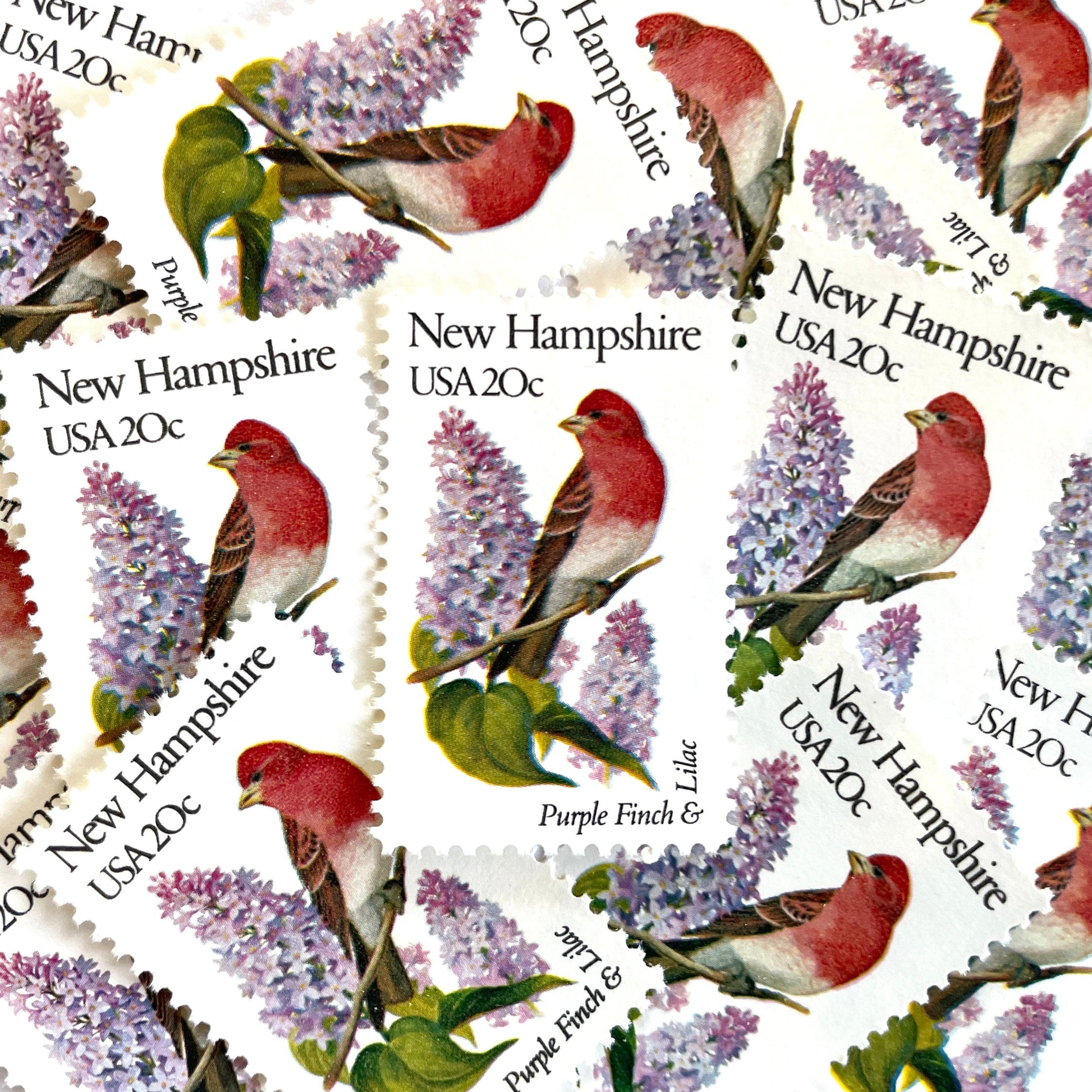 Image of New Hampshire State Bird and Flower postage stamps from 1982, featuring a Purple Finch and Lilac on vintage unused 20-cent USPS postage, Scott 1981.