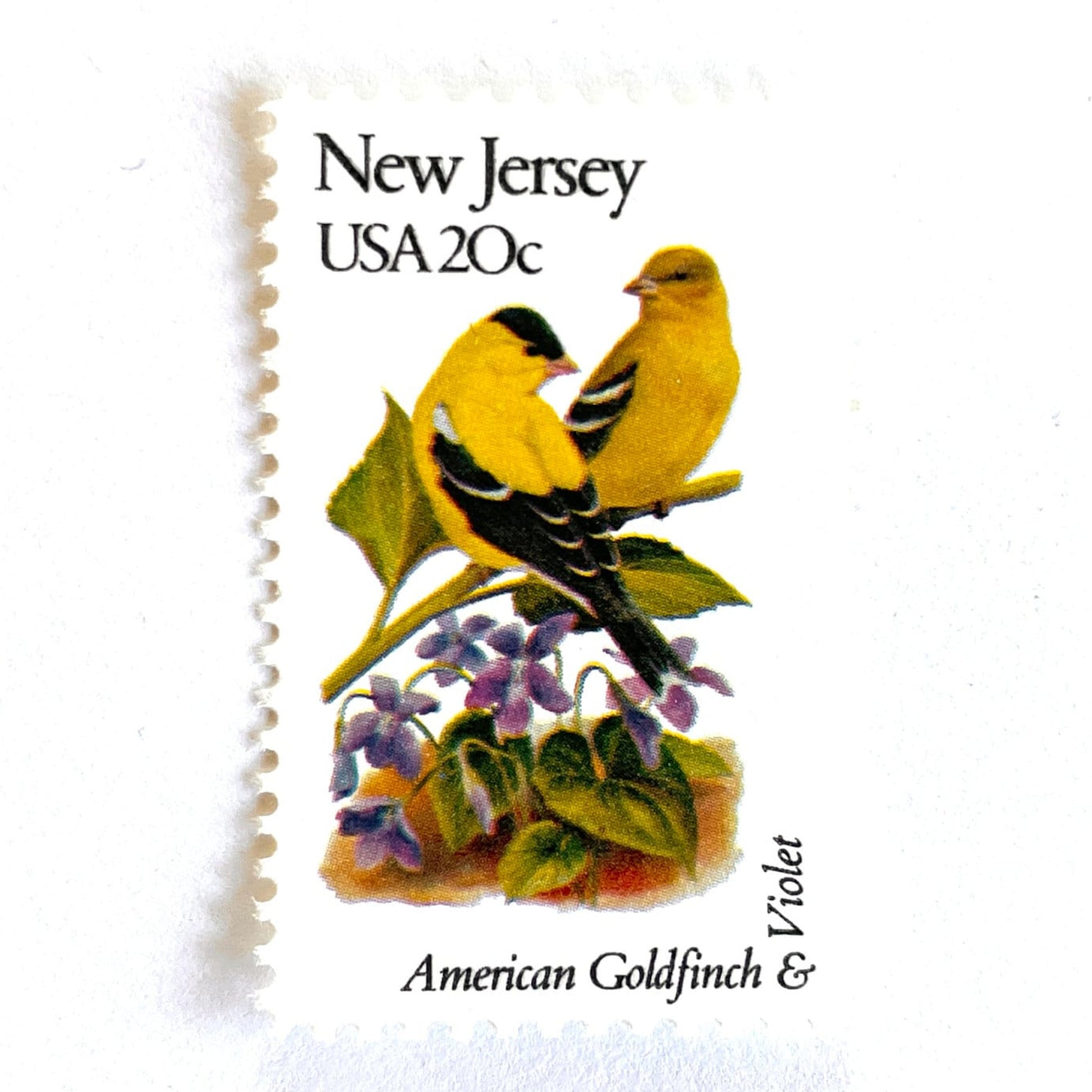 Image of New Jersey State Bird and Flower postage stamps from 1982, featuring an Eastern Goldfinch and Common Meadow Violet on vintage unused 20-cent USPS postage, Scott 1982.