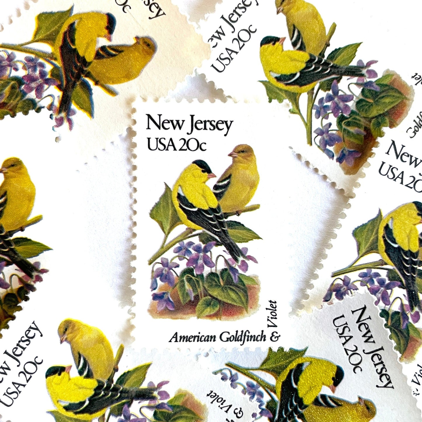 Image of New Jersey State Bird and Flower postage stamps from 1982, featuring an Eastern Goldfinch and Common Meadow Violet on vintage unused 20-cent USPS postage, Scott 1982.