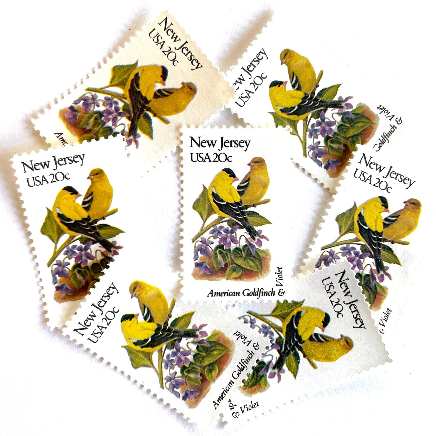 Image of New Jersey State Bird and Flower postage stamps from 1982, featuring an Eastern Goldfinch and Common Meadow Violet on vintage unused 20-cent USPS postage, Scott 1982.