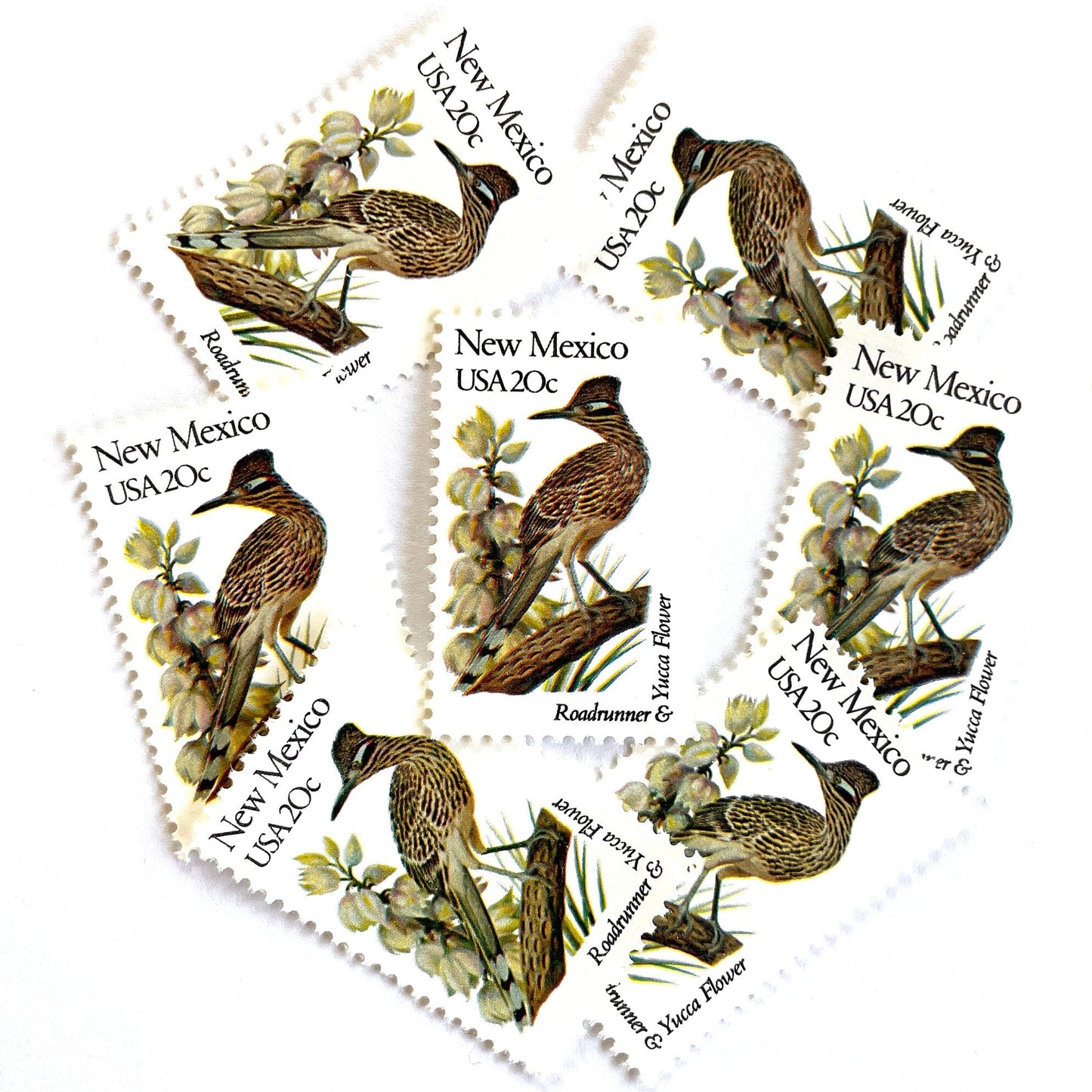 Image of New Mexico State Bird and Flower postage stamps from 1982, featuring a Roadrunner and Yucca Flower on vintage unused 20-cent USPS postage, Scott 1983.