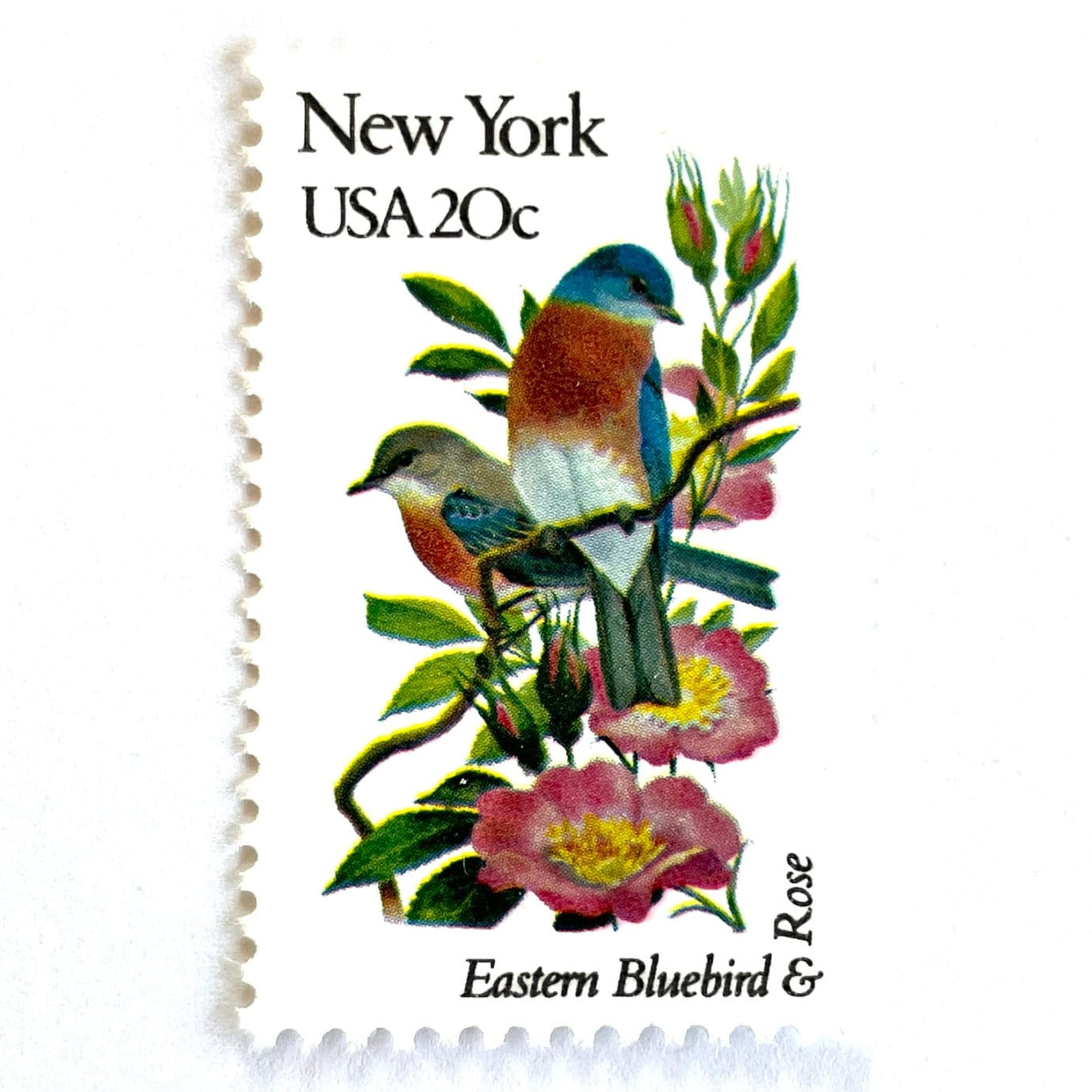 Image of New York State Bird and Flower postage stamps from 1982, featuring a Bluebird and Rose on vintage unused 20-cent USPS postage, Scott 1984.