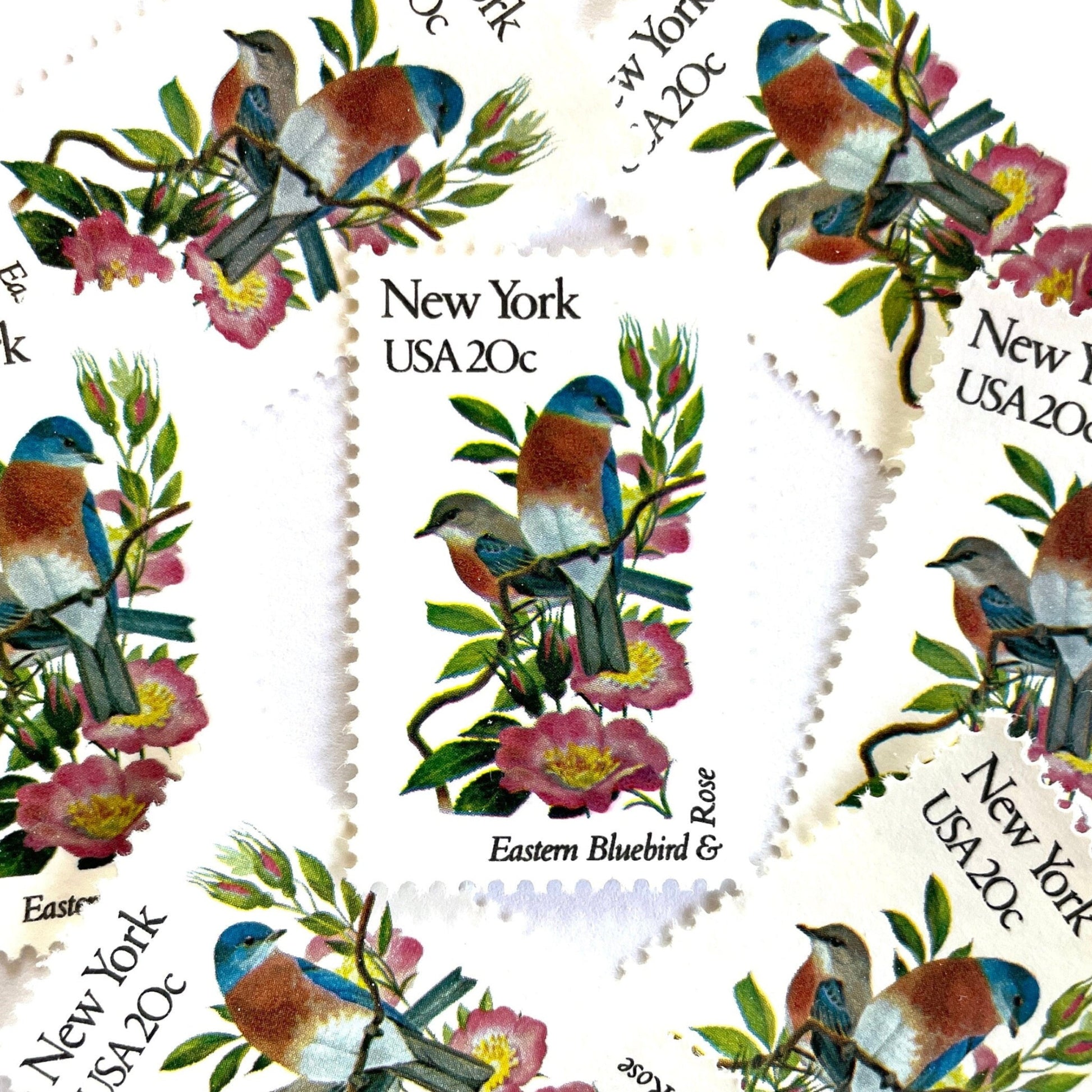 Image of New York State Bird and Flower postage stamps from 1982, featuring a Bluebird and Rose on vintage unused 20-cent USPS postage, Scott 1984.