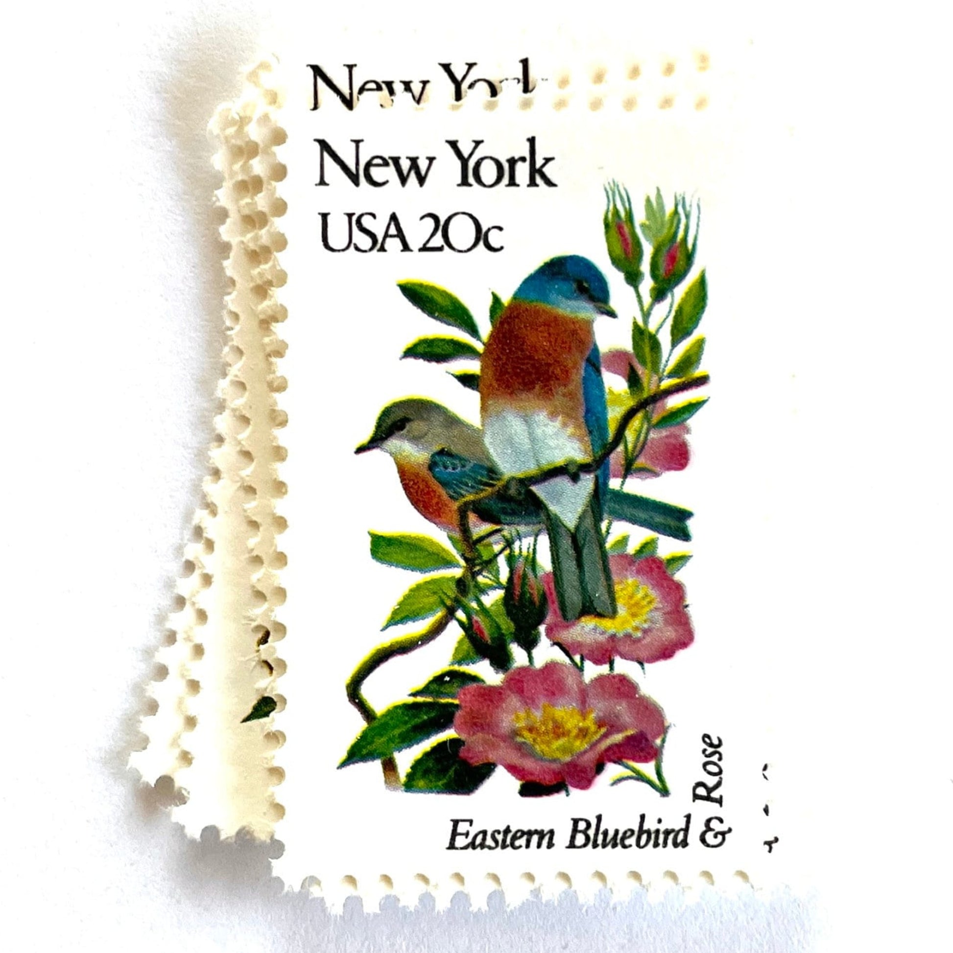 Image of New York State Bird and Flower postage stamps from 1982, featuring a Bluebird and Rose on vintage unused 20-cent USPS postage, Scott 1984.
