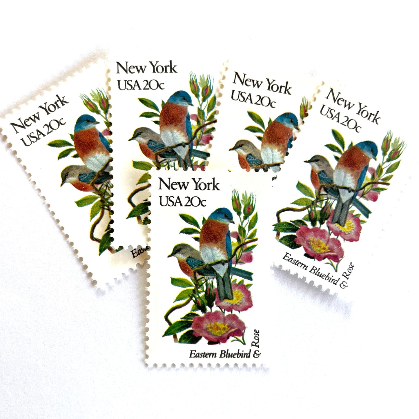 Image of New York State Bird and Flower postage stamps from 1982, featuring a Bluebird and Rose on vintage unused 20-cent USPS postage, Scott 1984.