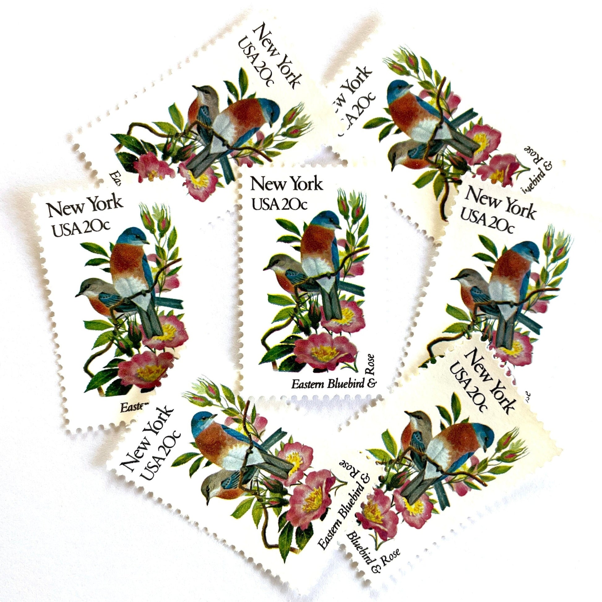 Image of New York State Bird and Flower postage stamps from 1982, featuring a Bluebird and Rose on vintage unused 20-cent USPS postage, Scott 1984.