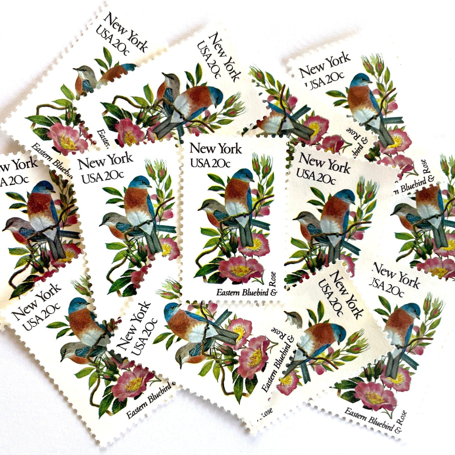 Image of New York State Bird and Flower postage stamps from 1982, featuring a Bluebird and Rose on vintage unused 20-cent USPS postage, Scott 1984.