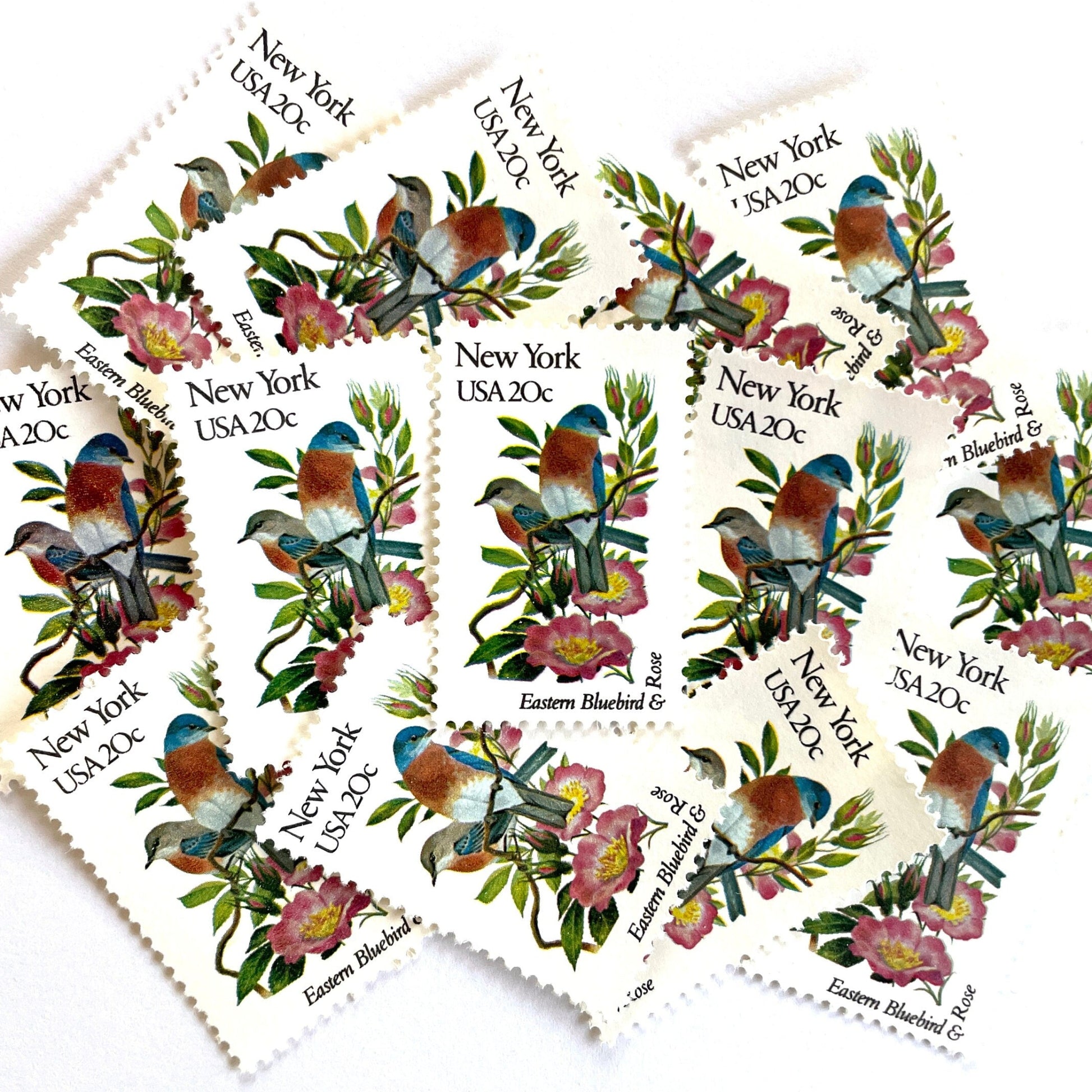 Image of New York State Bird and Flower postage stamps from 1982, featuring a Bluebird and Rose on vintage unused 20-cent USPS postage, Scott 1984.