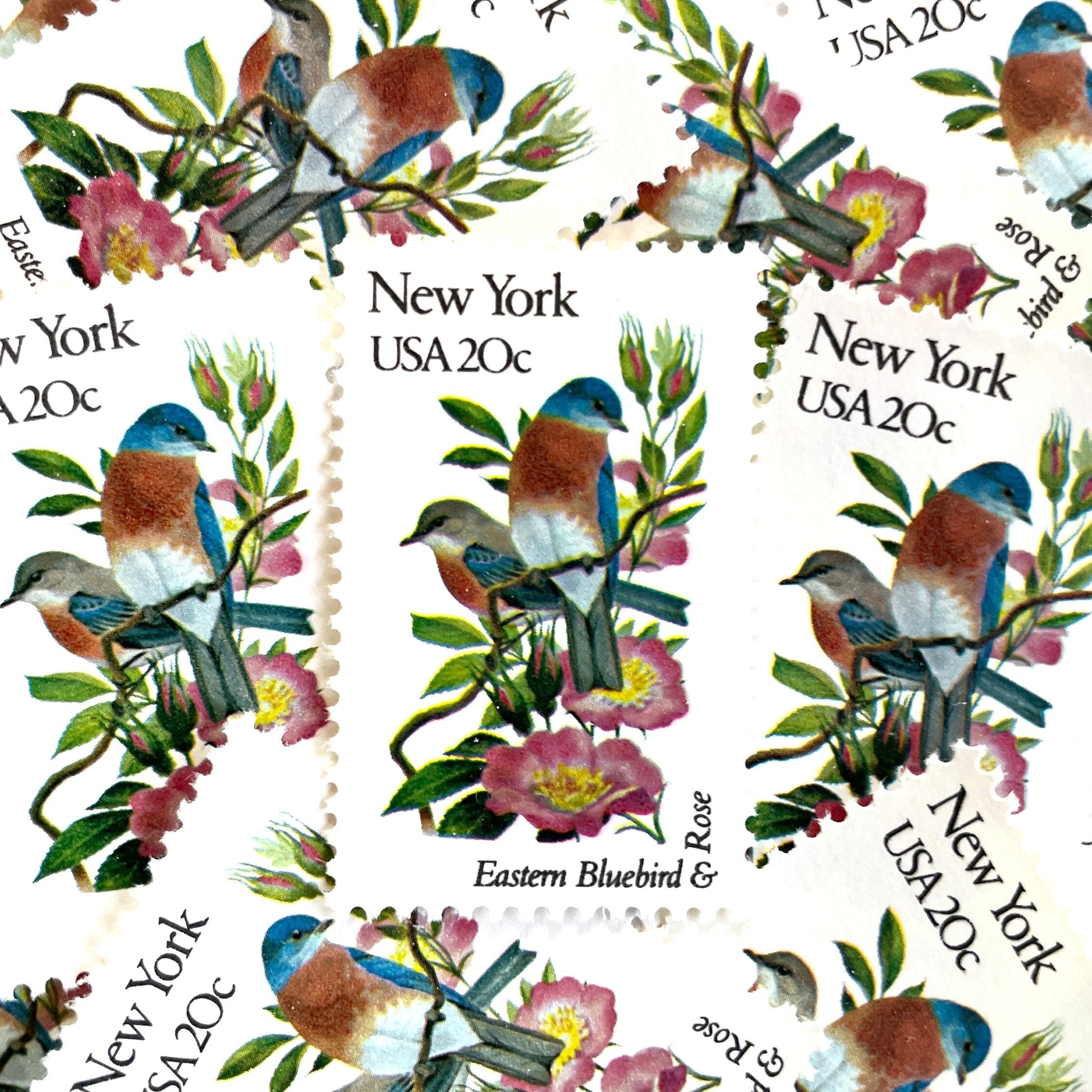 Image of New York State Bird and Flower postage stamps from 1982, featuring a Bluebird and Rose on vintage unused 20-cent USPS postage, Scott 1984.