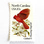 Image of North Carolina State Bird and Flower postage stamps from 1982, featuring a Cardinal and Flowering Dogwood on vintage unused 20-cent USPS postage, Scott 1985.