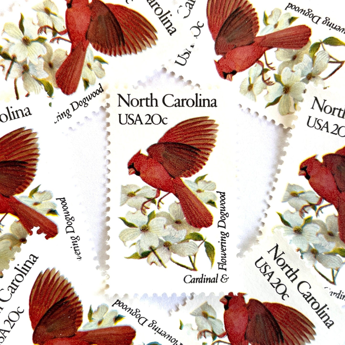 Image of North Carolina State Bird and Flower postage stamps from 1982, featuring a Cardinal and Flowering Dogwood on vintage unused 20-cent USPS postage, Scott 1985.