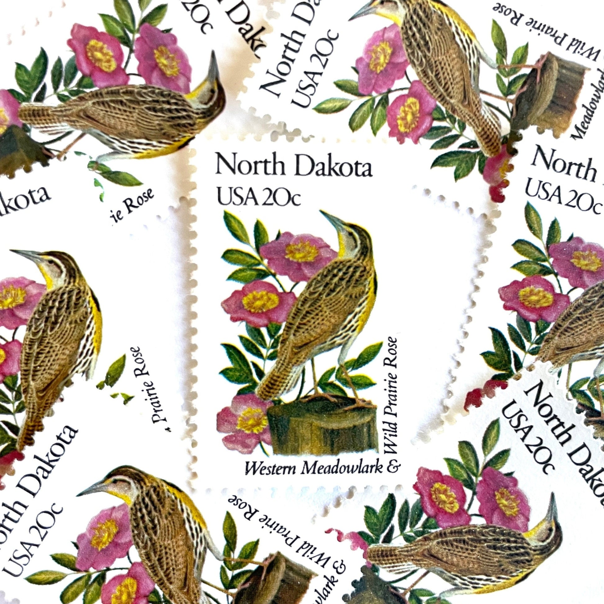 Image of North Dakota State Bird and Flower postage stamps from 1982, featuring a Western Meadowlark and Wild Prairie Rose on vintage unused 20-cent USPS postage, Scott 1986.