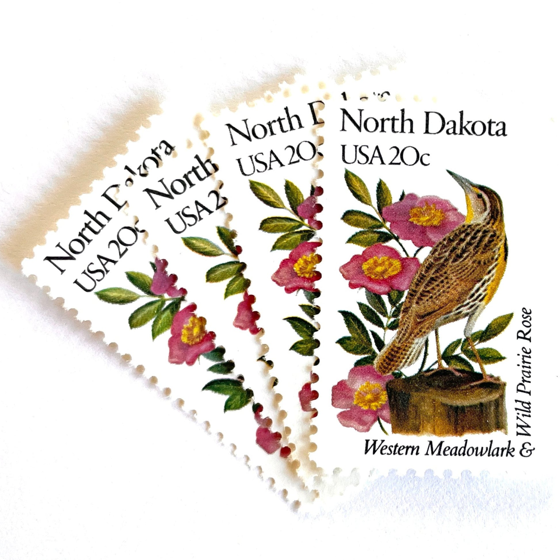 Image of North Dakota State Bird and Flower postage stamps from 1982, featuring a Western Meadowlark and Wild Prairie Rose on vintage unused 20-cent USPS postage, Scott 1986.