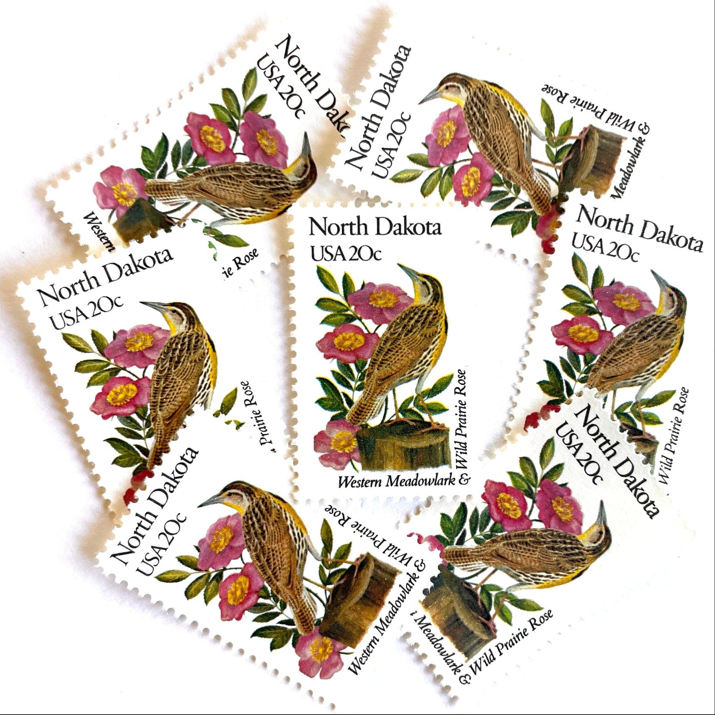 Image of North Dakota State Bird and Flower postage stamps from 1982, featuring a Western Meadowlark and Wild Prairie Rose on vintage unused 20-cent USPS postage, Scott 1986.