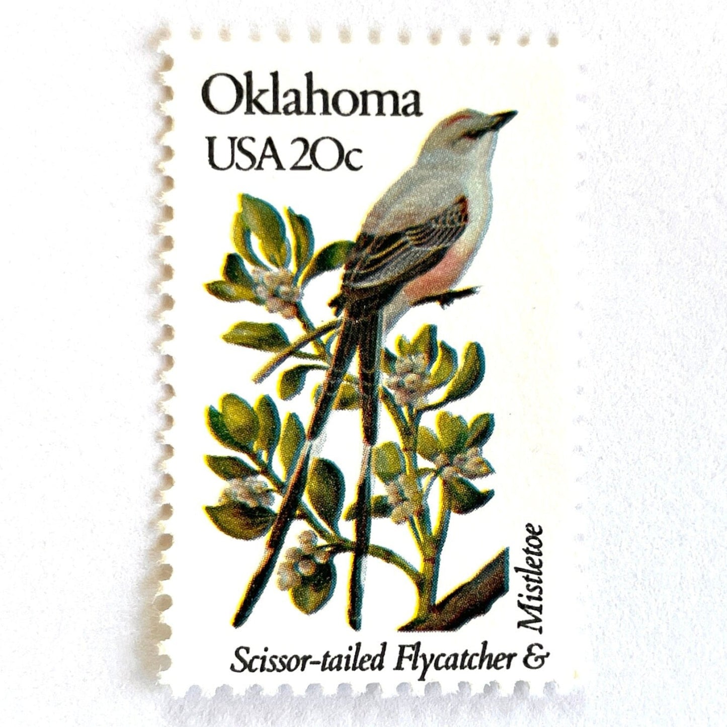 Image of Oklahoma State Bird and Flower postage stamps from 1982, featuring a Scissor-Tailed Flycatcher and Mistletoe on vintage unused 20-cent USPS postage, Scott 1988.