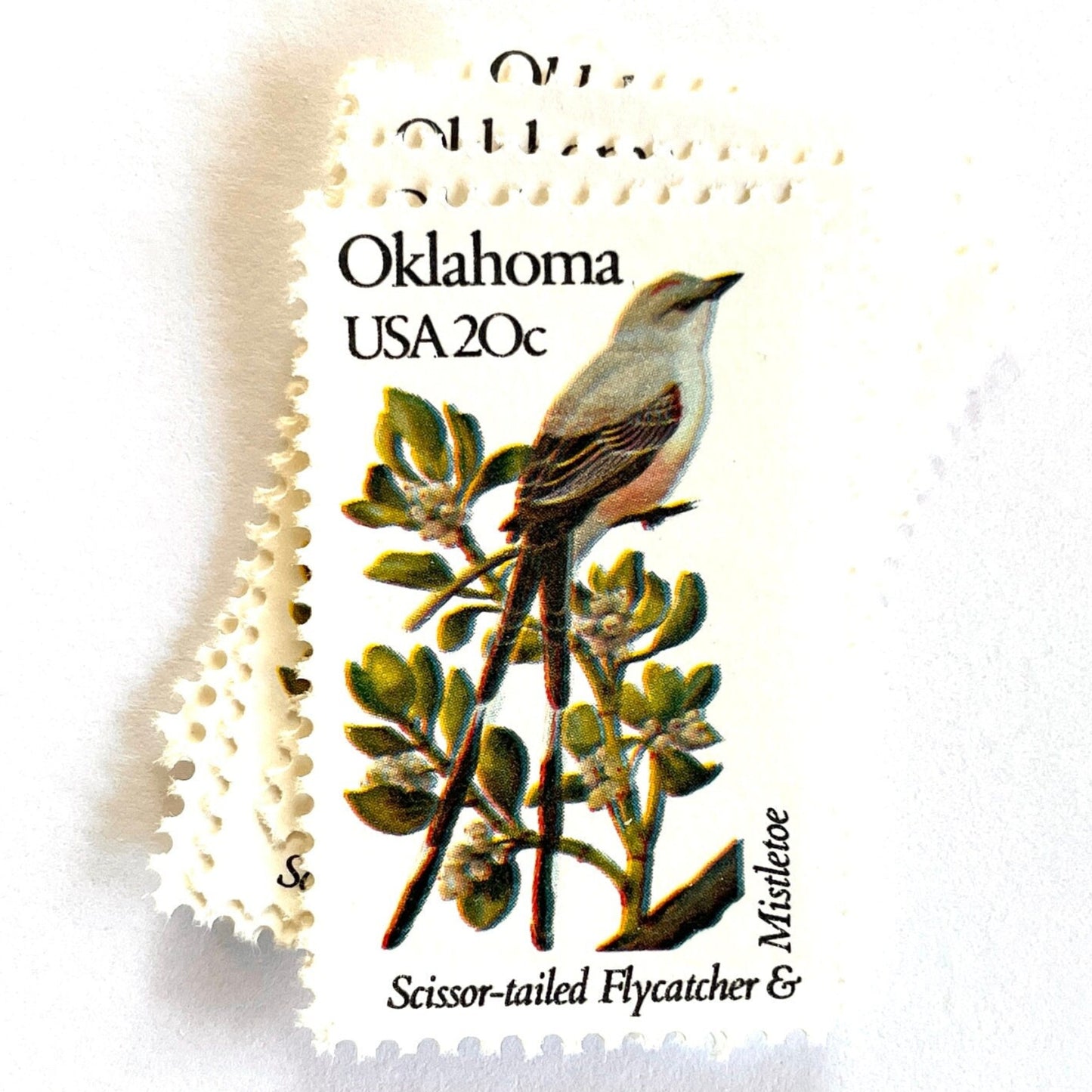 Image of Oklahoma State Bird and Flower postage stamps from 1982, featuring a Scissor-Tailed Flycatcher and Mistletoe on vintage unused 20-cent USPS postage, Scott 1988.