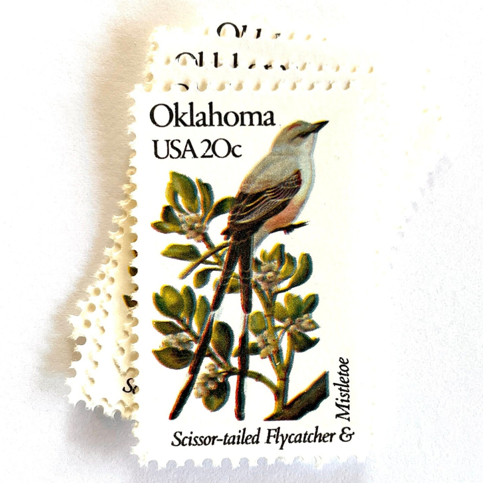 Image of Oklahoma State Bird and Flower postage stamps from 1982, featuring a Scissor-Tailed Flycatcher and Mistletoe on vintage unused 20-cent USPS postage, Scott 1988.