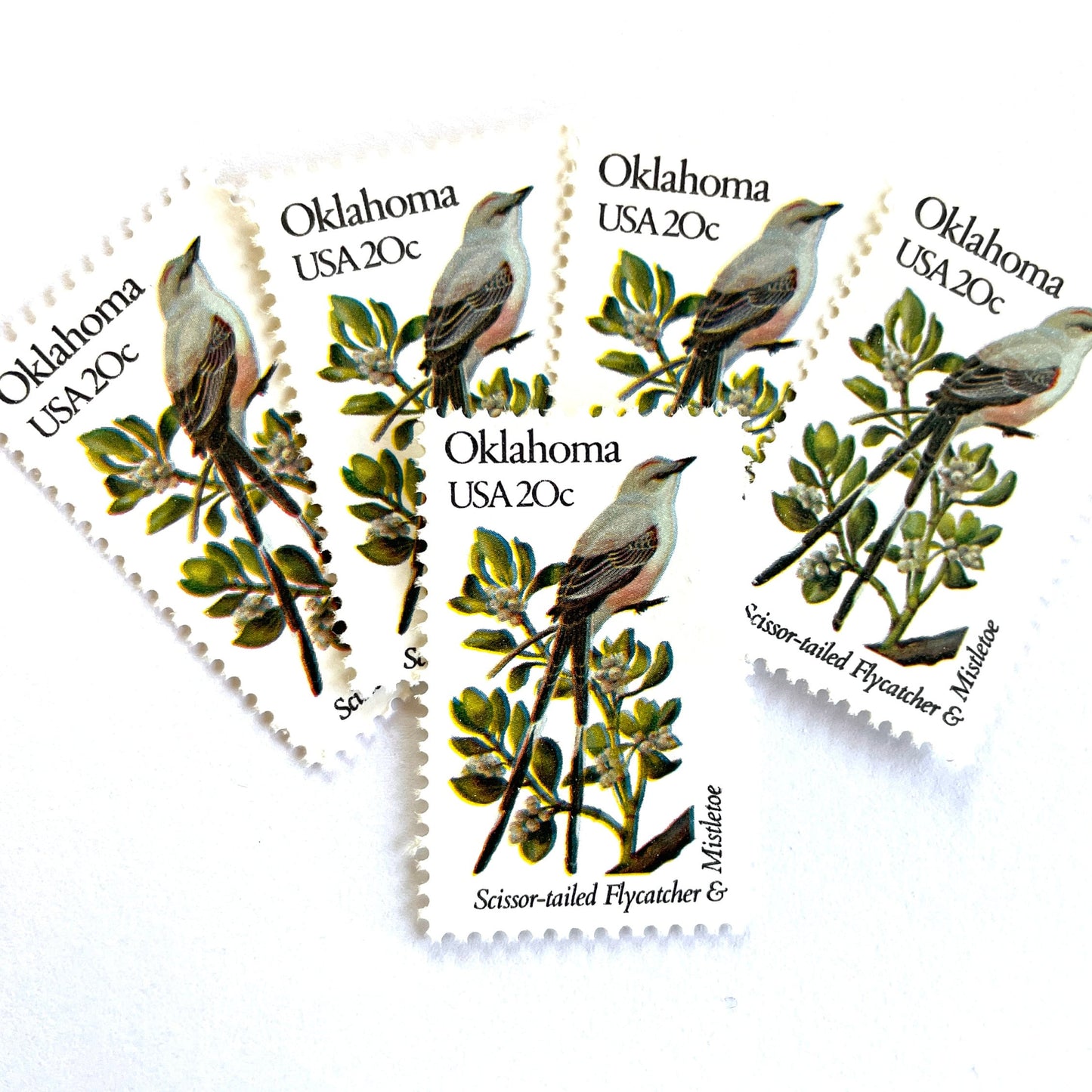 Image of Oklahoma State Bird and Flower postage stamps from 1982, featuring a Scissor-Tailed Flycatcher and Mistletoe on vintage unused 20-cent USPS postage, Scott 1988.