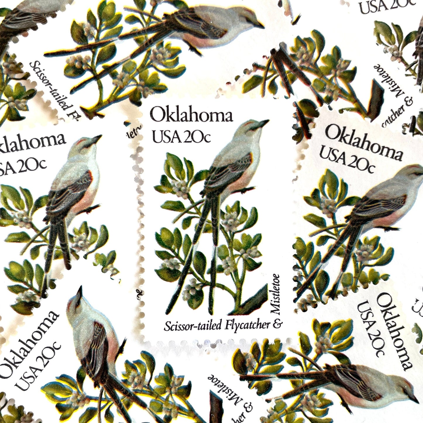 Image of Oklahoma State Bird and Flower postage stamps from 1982, featuring a Scissor-Tailed Flycatcher and Mistletoe on vintage unused 20-cent USPS postage, Scott 1988.