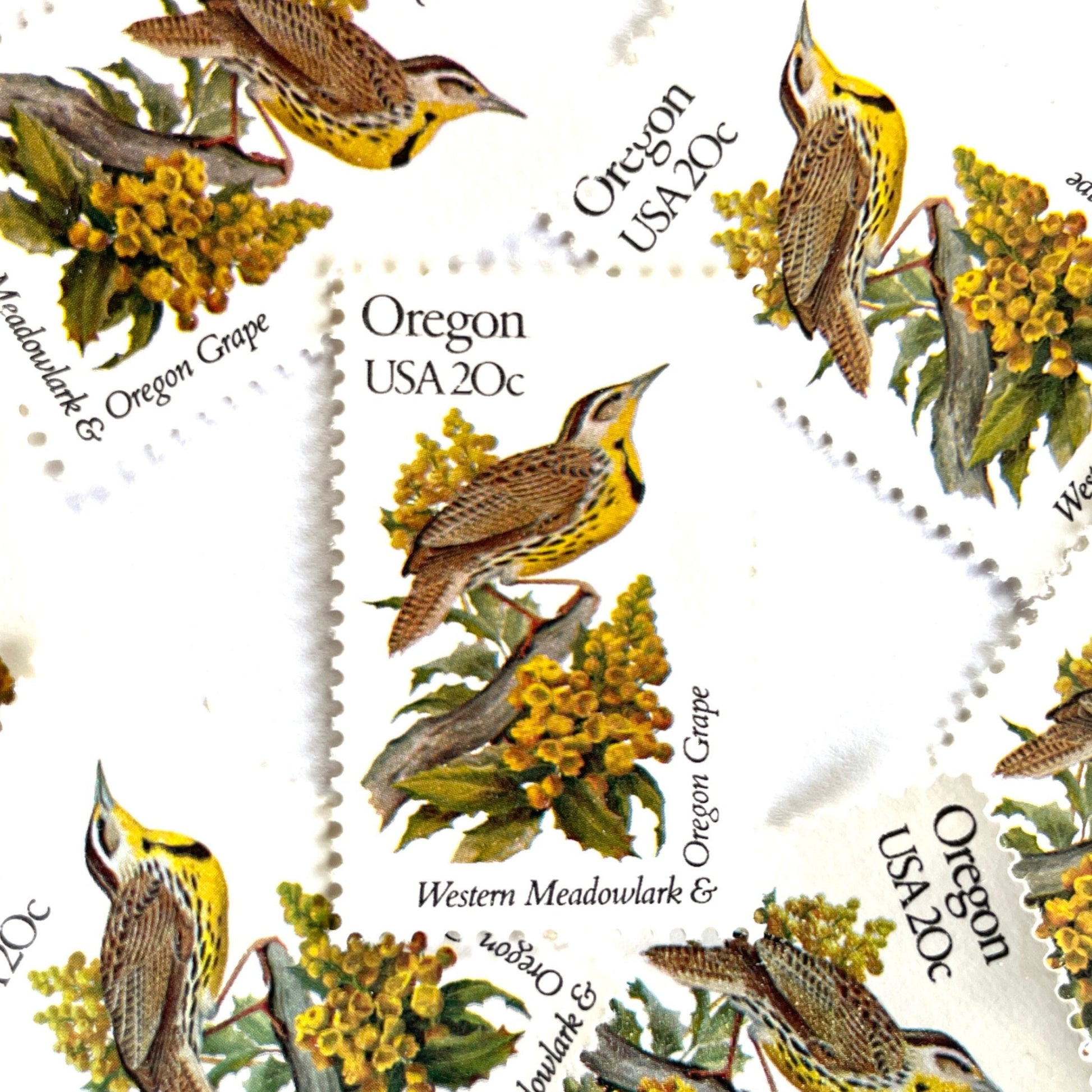 Image of Oregon State Bird and Flower postage stamps from 1982, featuring a Western Meadowlark and Oregon Grape on vintage unused 20-cent USPS postage, Scott 1989.
