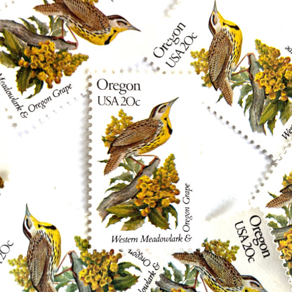 Image of Oregon State Bird and Flower postage stamps from 1982, featuring a Western Meadowlark and Oregon Grape on vintage unused 20-cent USPS postage, Scott 1989.
