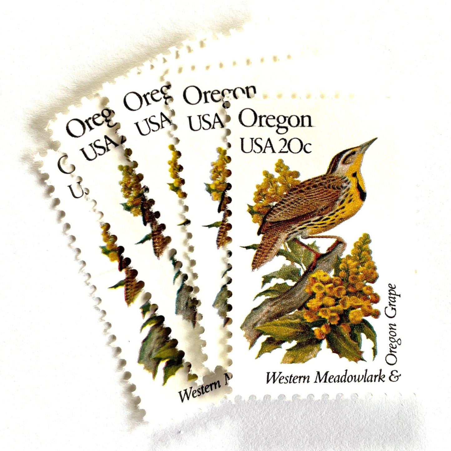 Image of Oregon State Bird and Flower postage stamps from 1982, featuring a Western Meadowlark and Oregon Grape on vintage unused 20-cent USPS postage, Scott 1989.