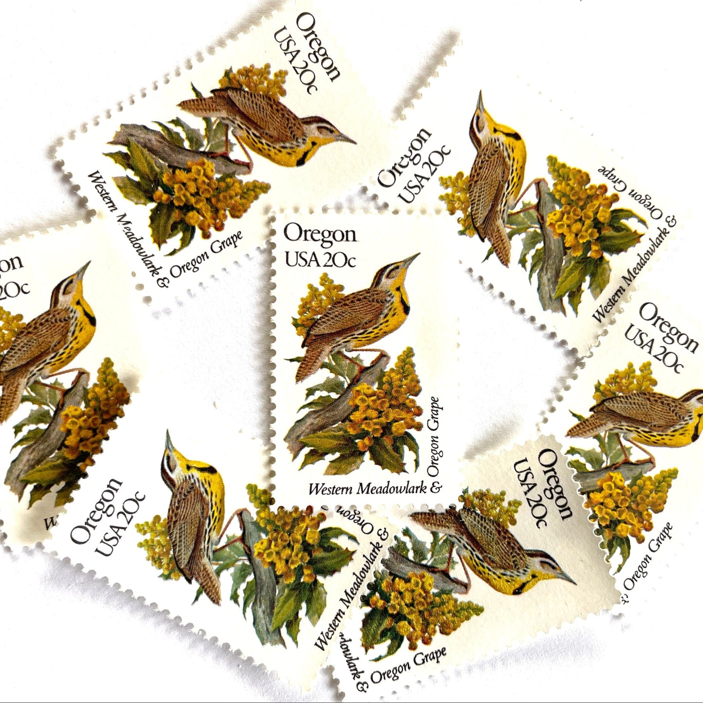 Image of Oregon State Bird and Flower postage stamps from 1982, featuring a Western Meadowlark and Oregon Grape on vintage unused 20-cent USPS postage, Scott 1989.