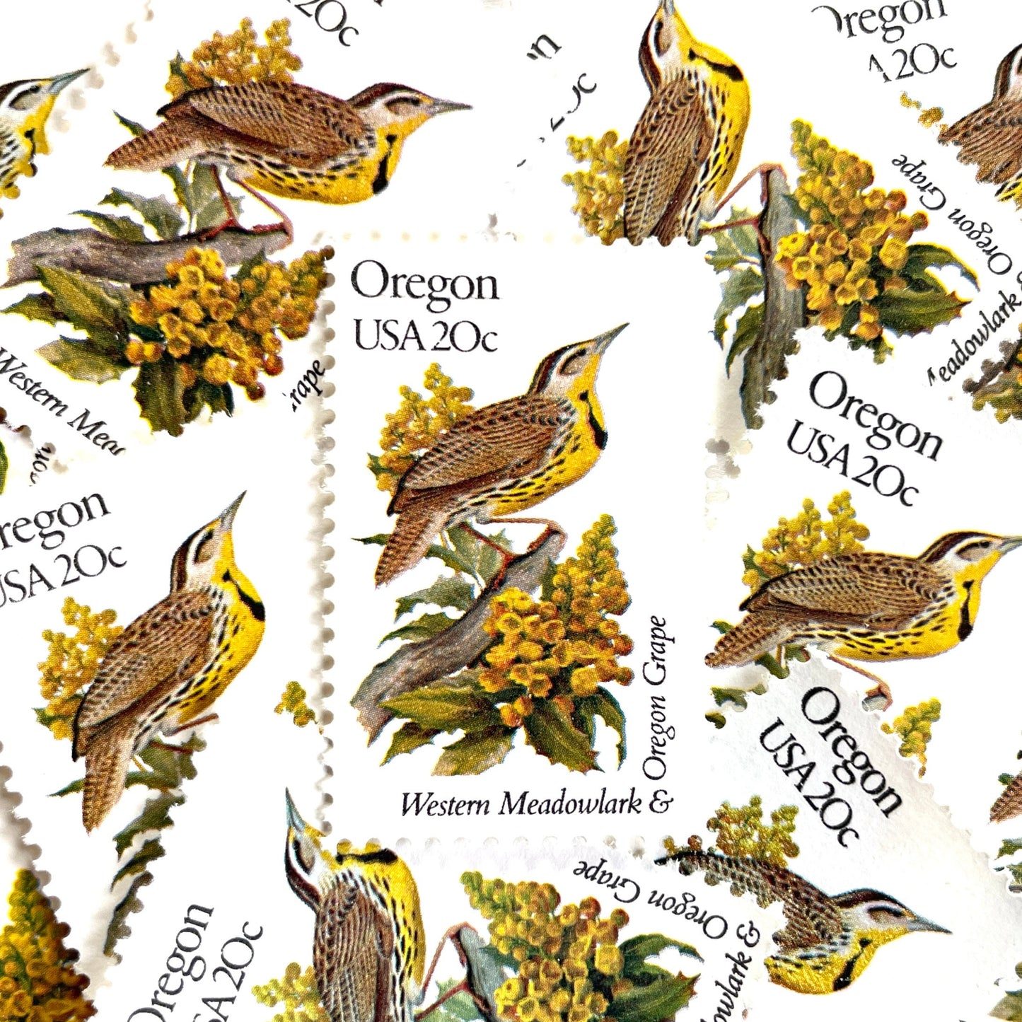Image of Oregon State Bird and Flower postage stamps from 1982, featuring a Western Meadowlark and Oregon Grape on vintage unused 20-cent USPS postage, Scott 1989.