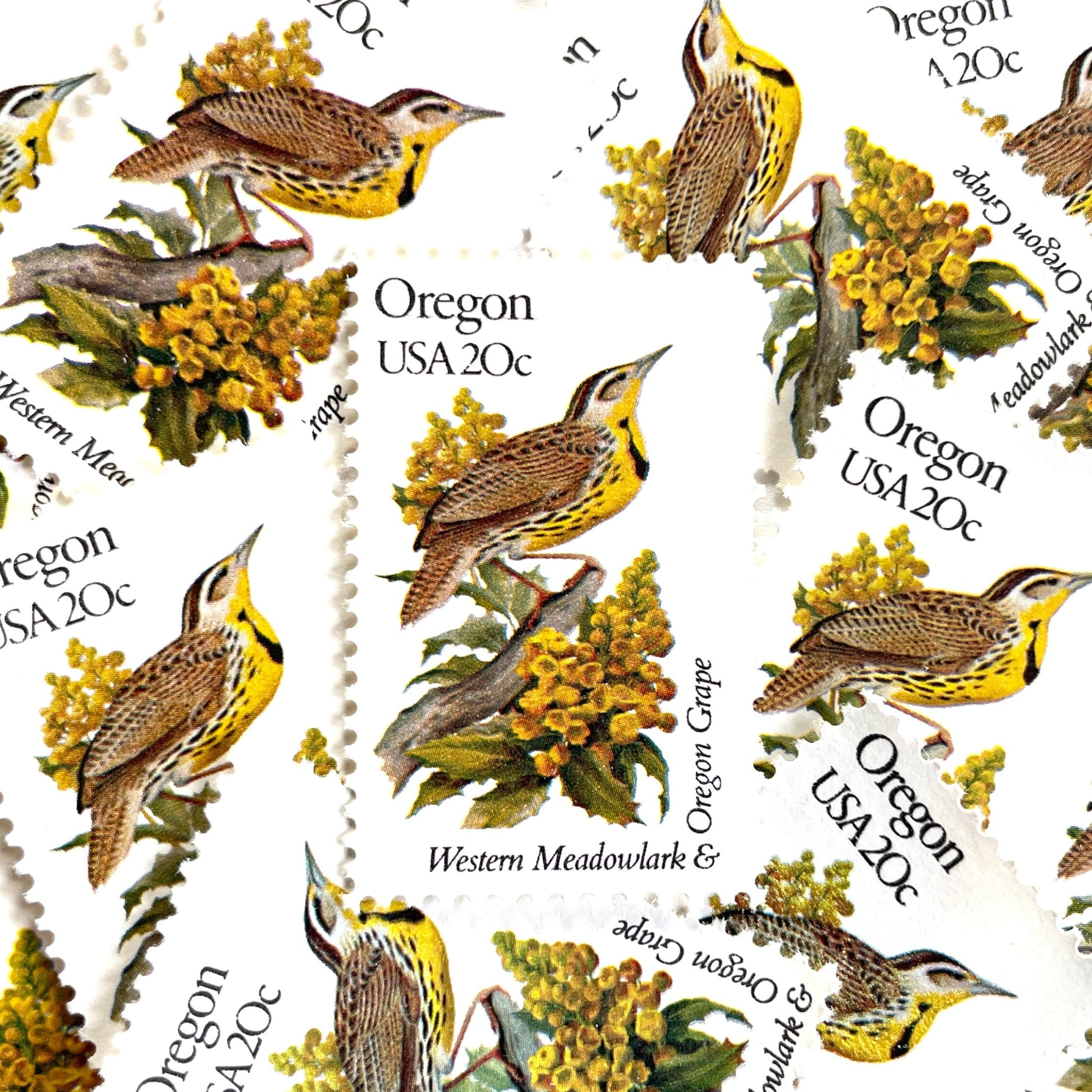 Image of Oregon State Bird and Flower postage stamps from 1982, featuring a Western Meadowlark and Oregon Grape on vintage unused 20-cent USPS postage, Scott 1989.
