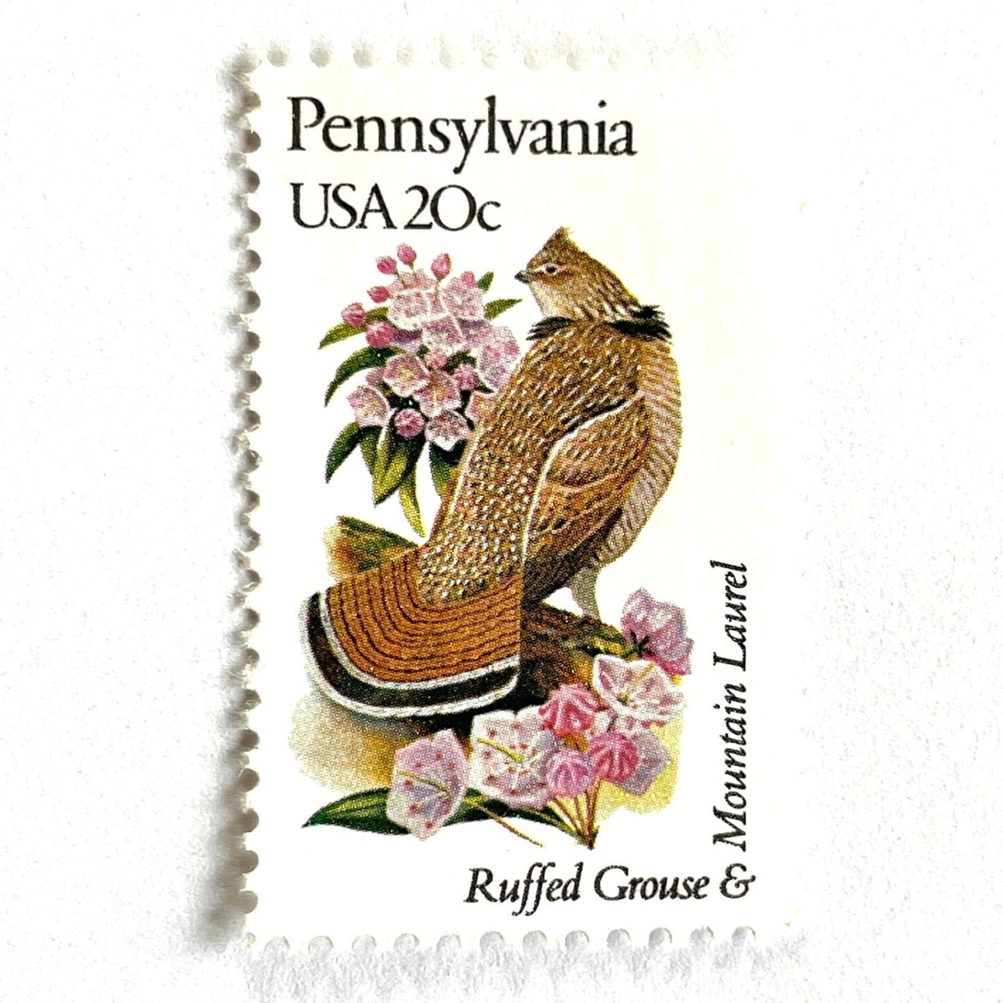 Image of Pennsylvania State Bird and Flower postage stamps from 1982, featuring a Ruffed Grouse and Mountain Laurel on vintage unused 20-cent USPS postage, Scott 1990.