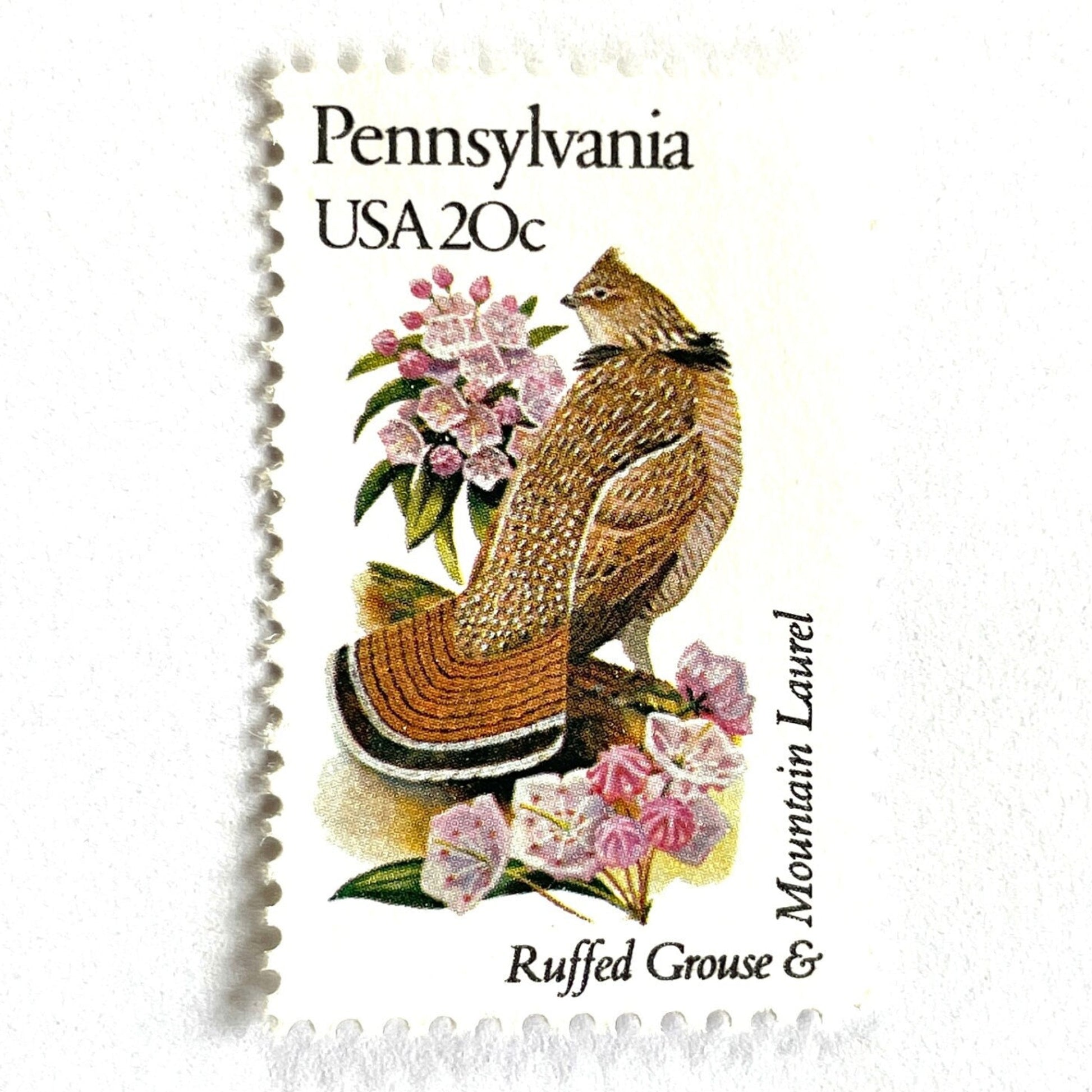 Image of Pennsylvania State Bird and Flower postage stamps from 1982, featuring a Ruffed Grouse and Mountain Laurel on vintage unused 20-cent USPS postage, Scott 1990.
