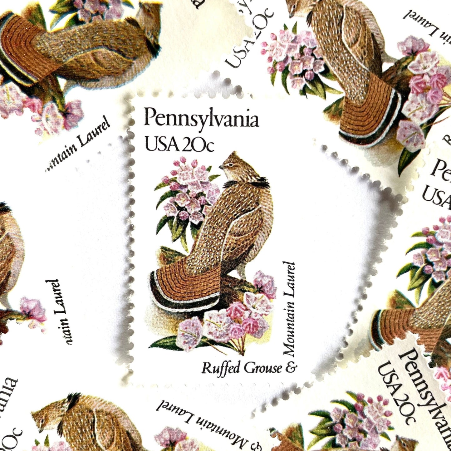 Image of Pennsylvania State Bird and Flower postage stamps from 1982, featuring a Ruffed Grouse and Mountain Laurel on vintage unused 20-cent USPS postage, Scott 1990.