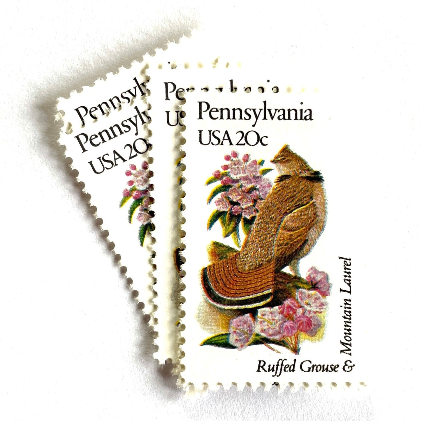 Image of Pennsylvania State Bird and Flower postage stamps from 1982, featuring a Ruffed Grouse and Mountain Laurel on vintage unused 20-cent USPS postage, Scott 1990.
