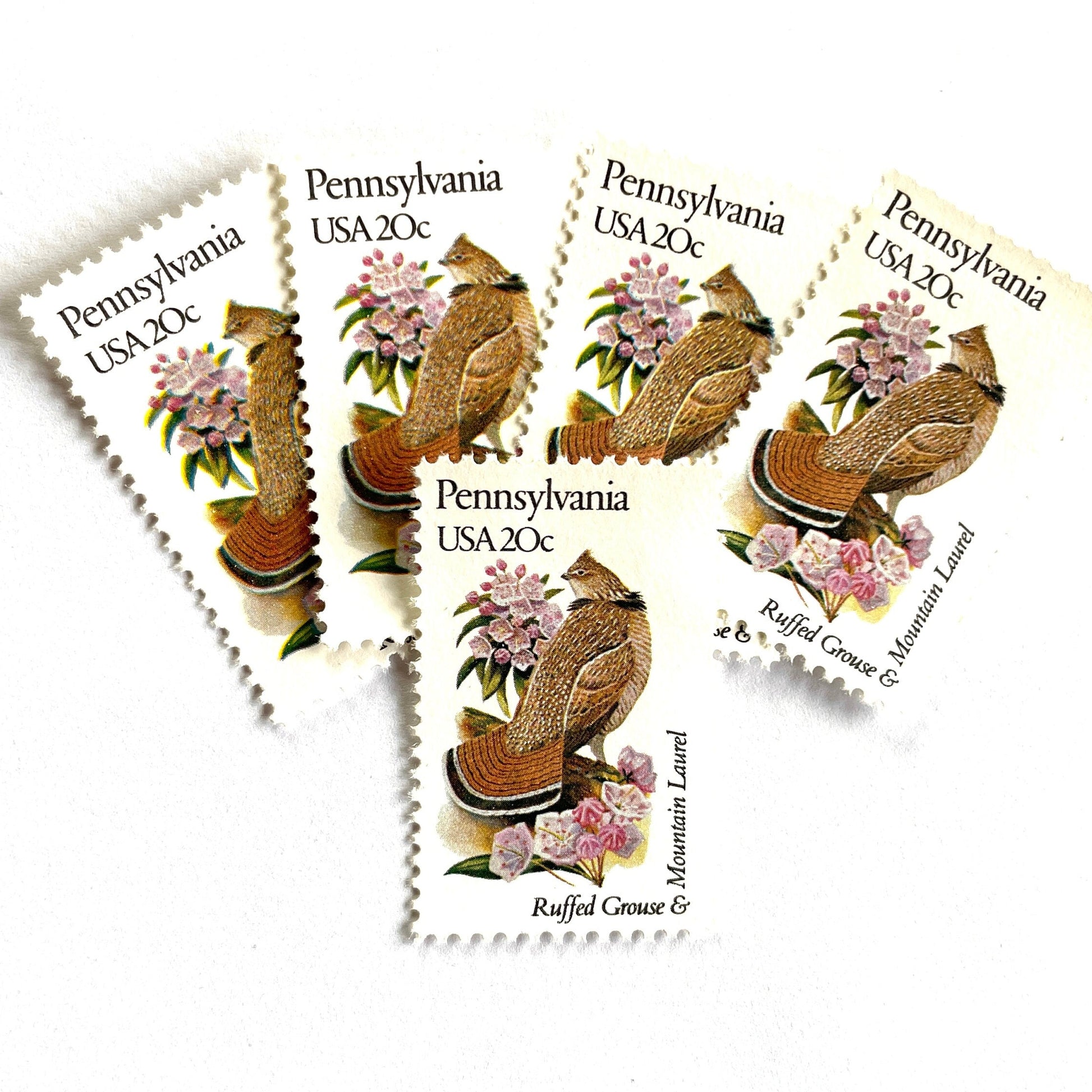 Image of Pennsylvania State Bird and Flower postage stamps from 1982, featuring a Ruffed Grouse and Mountain Laurel on vintage unused 20-cent USPS postage, Scott 1990.