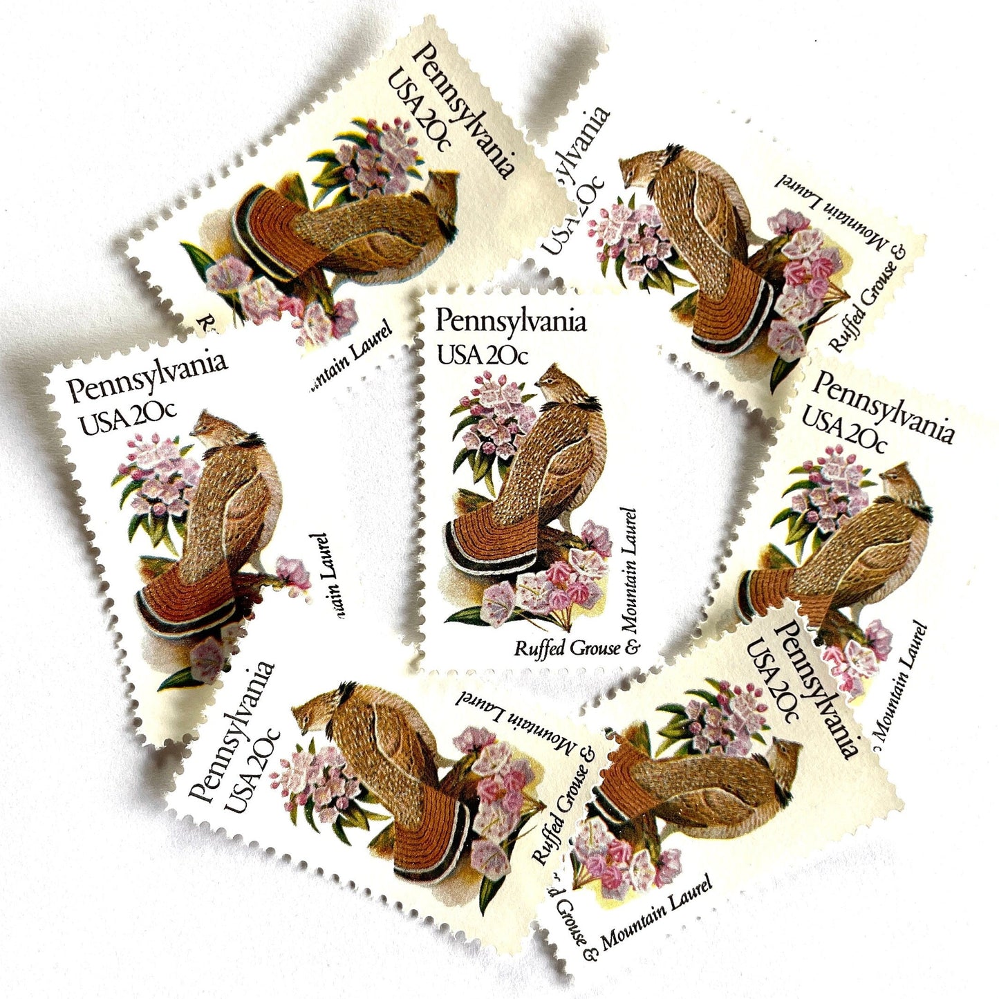 Image of Pennsylvania State Bird and Flower postage stamps from 1982, featuring a Ruffed Grouse and Mountain Laurel on vintage unused 20-cent USPS postage, Scott 1990.