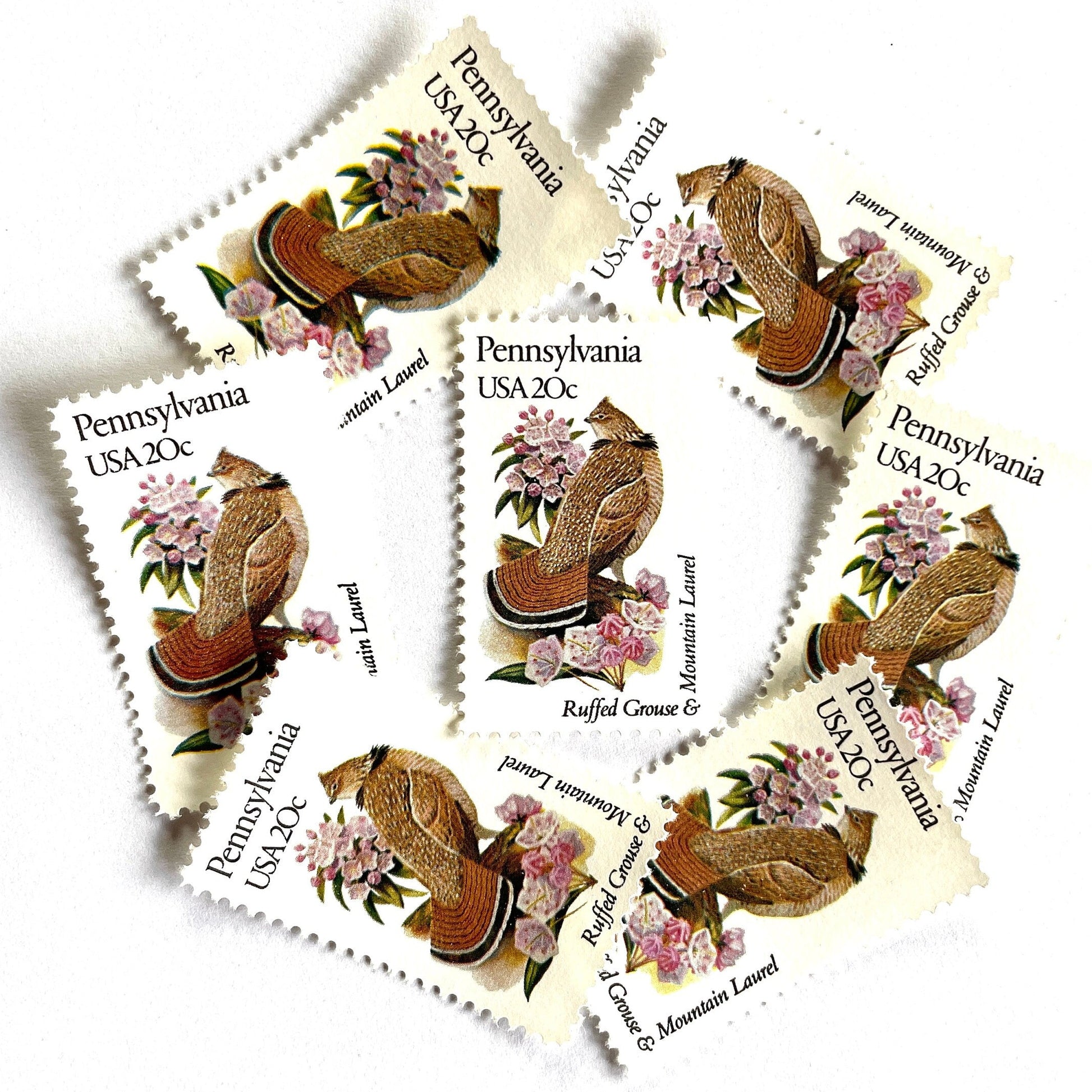 Image of Pennsylvania State Bird and Flower postage stamps from 1982, featuring a Ruffed Grouse and Mountain Laurel on vintage unused 20-cent USPS postage, Scott 1990.