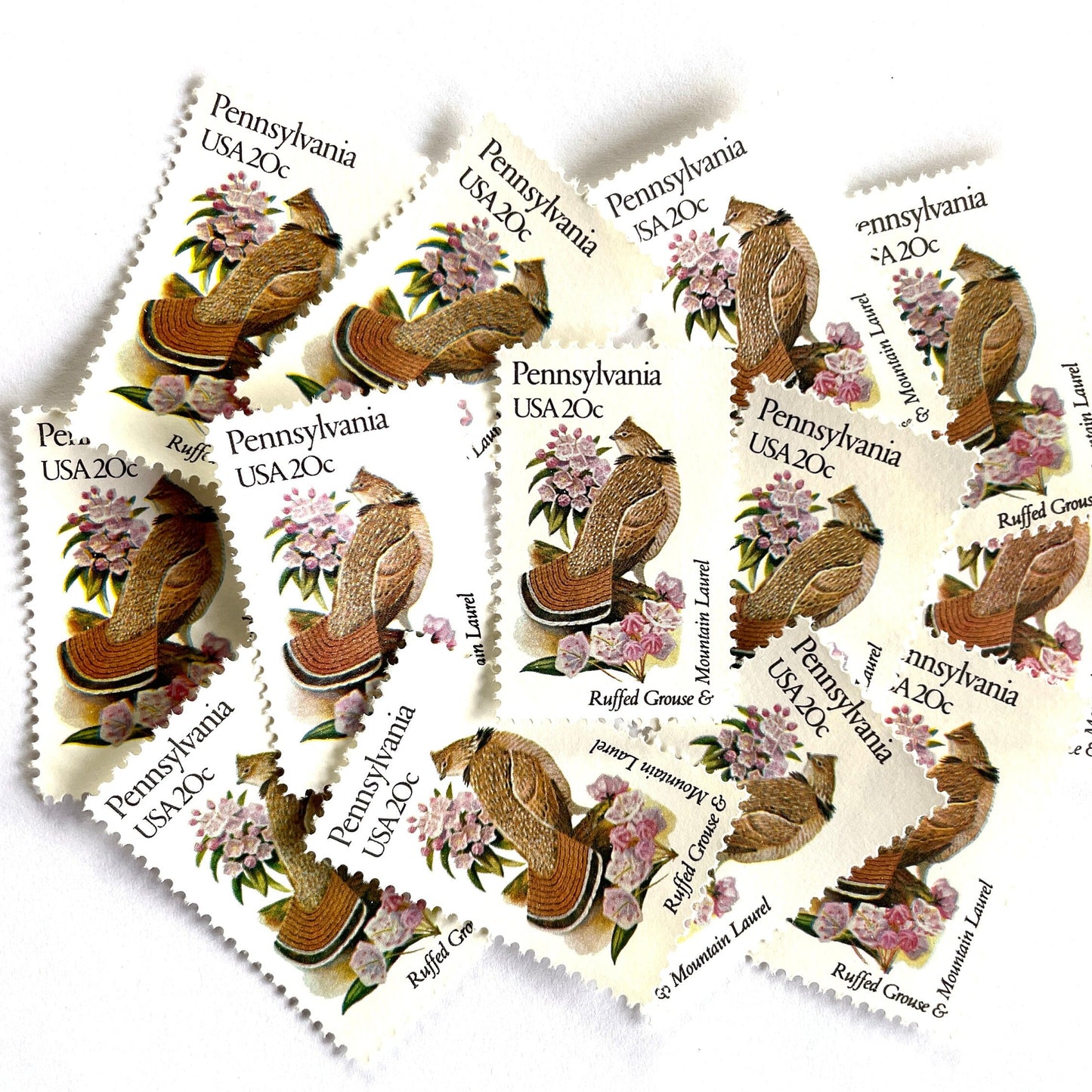 Image of Pennsylvania State Bird and Flower postage stamps from 1982, featuring a Ruffed Grouse and Mountain Laurel on vintage unused 20-cent USPS postage, Scott 1990.