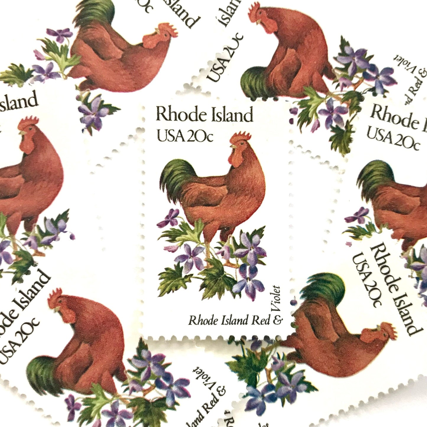 Rhode Island State Bird and Flower postage stamps from 1982 featuring a Rhode Island Red Rooster and Violet on vintage unused 20-cent USPS postage, Scott 1991.